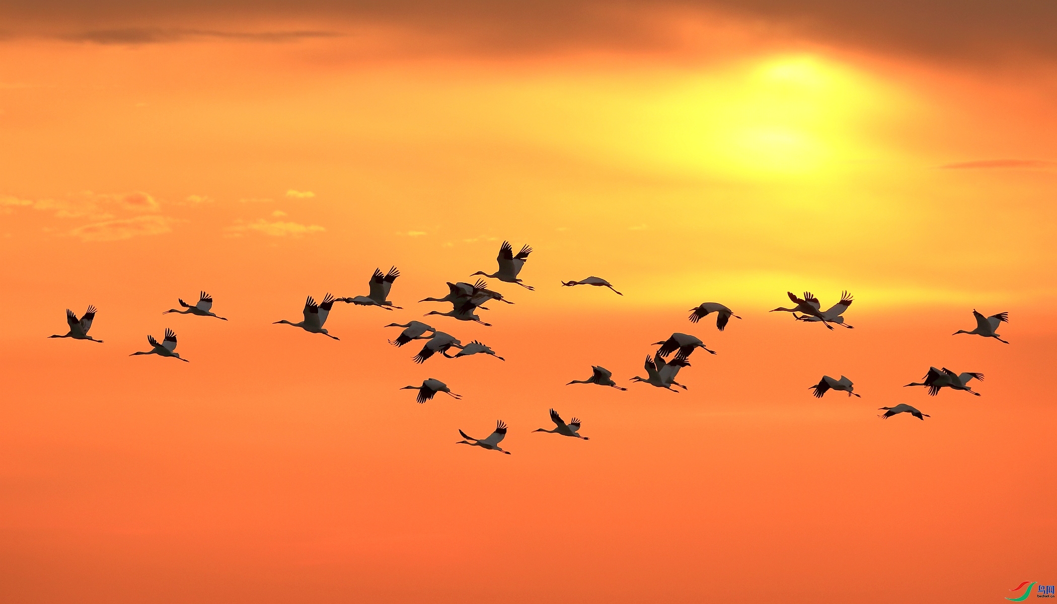 Ϧ���ɺ�  ���� ����.jpg