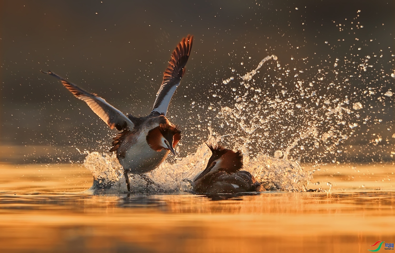 ����� ���� ��Ұ ����.jpg