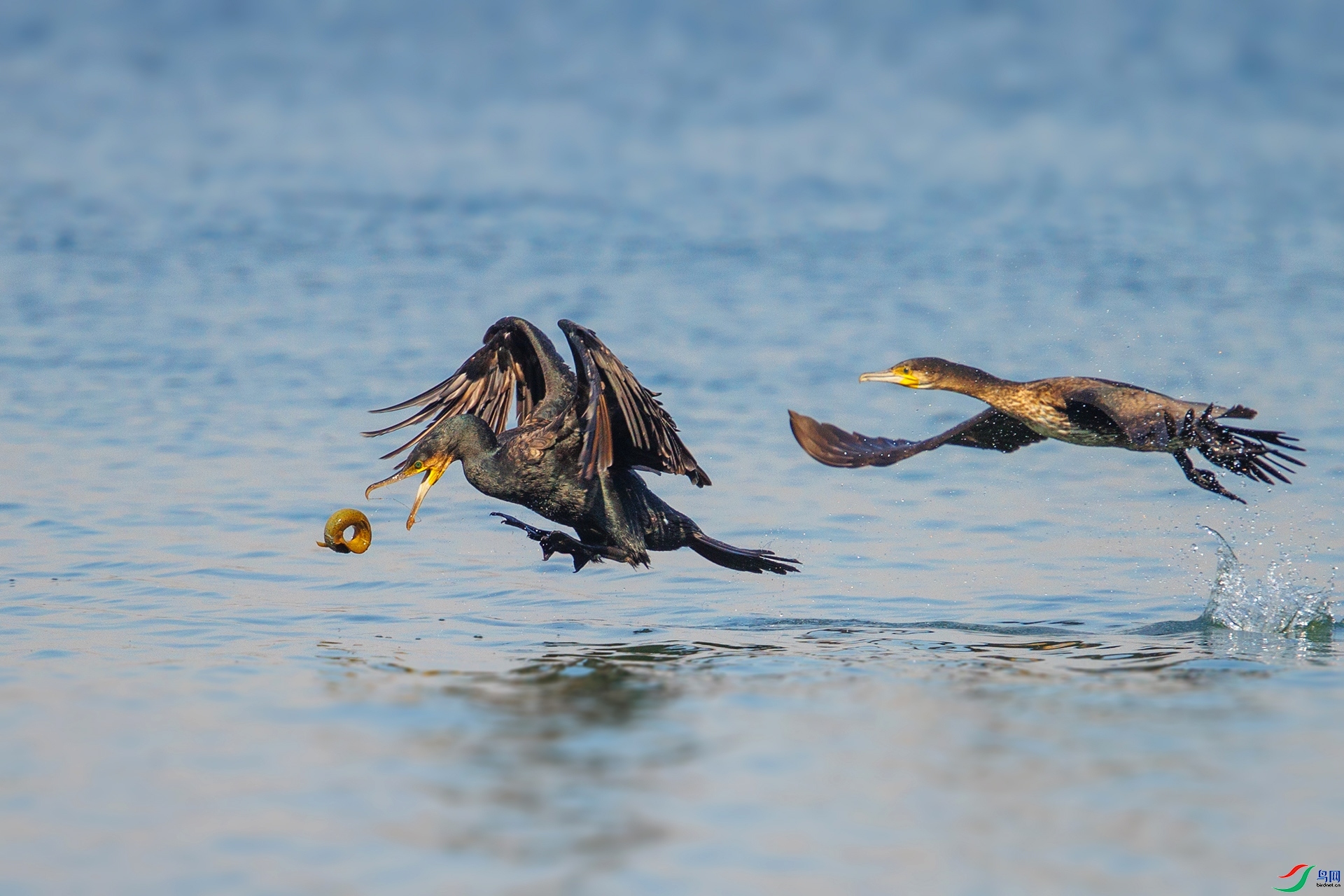 ��ͣ˲�� ���� ���¹�Ӱ  ����.jpg