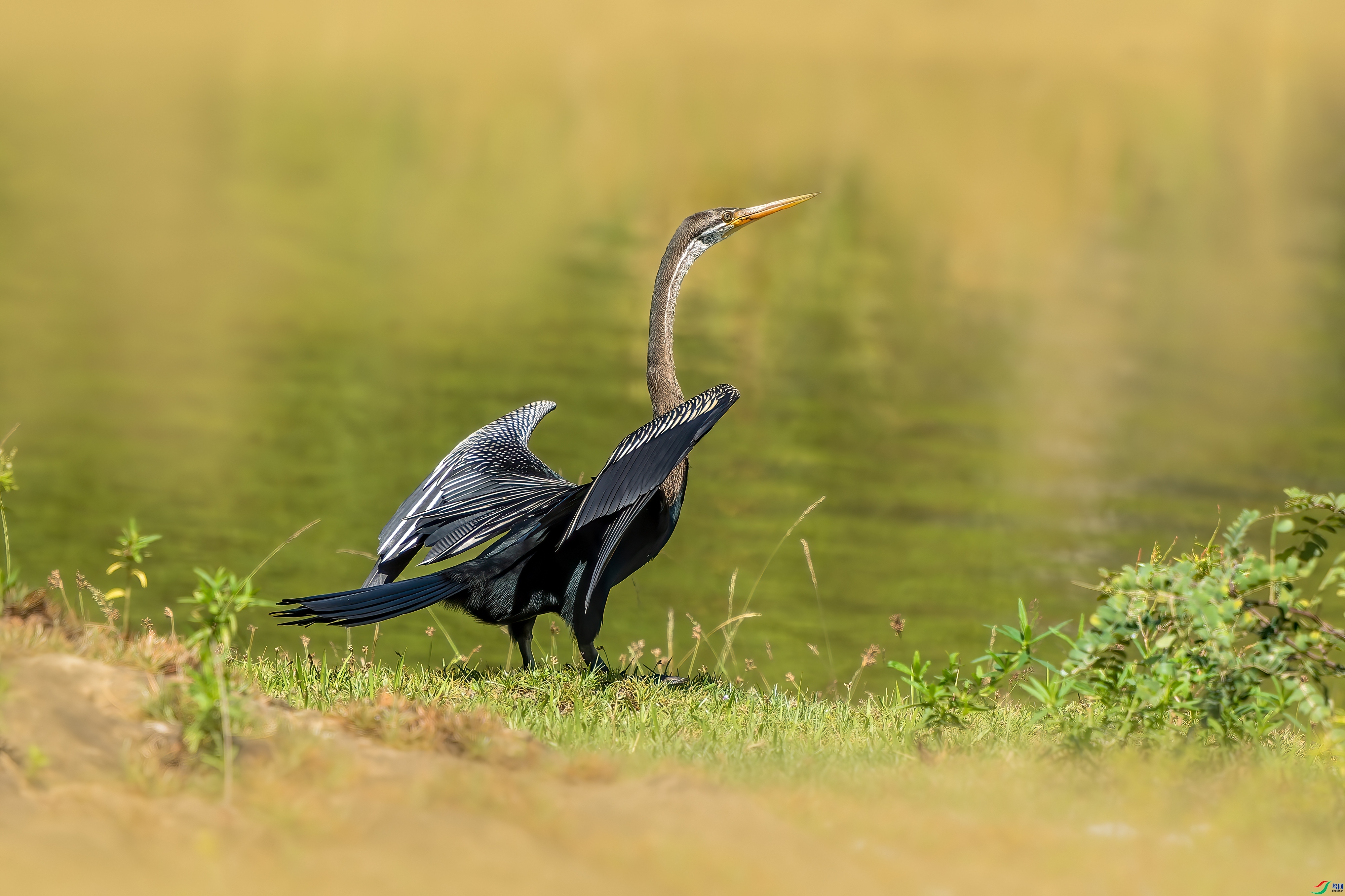 ��� ���� ���� ����.jpg