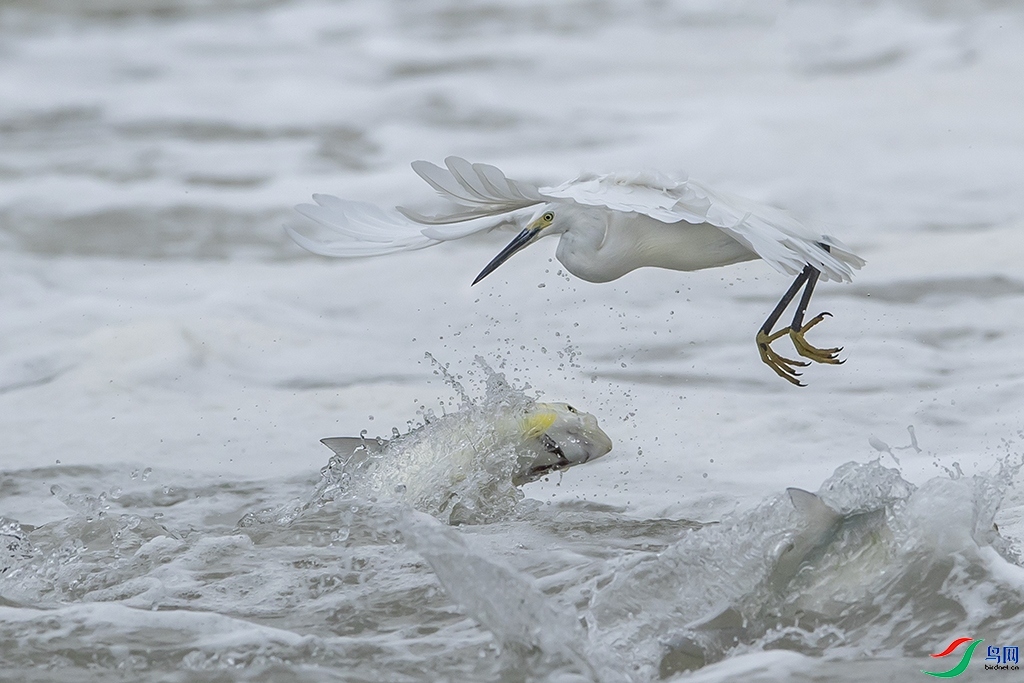 ����ʱ�� ���� ���ַ�  ����.jpg