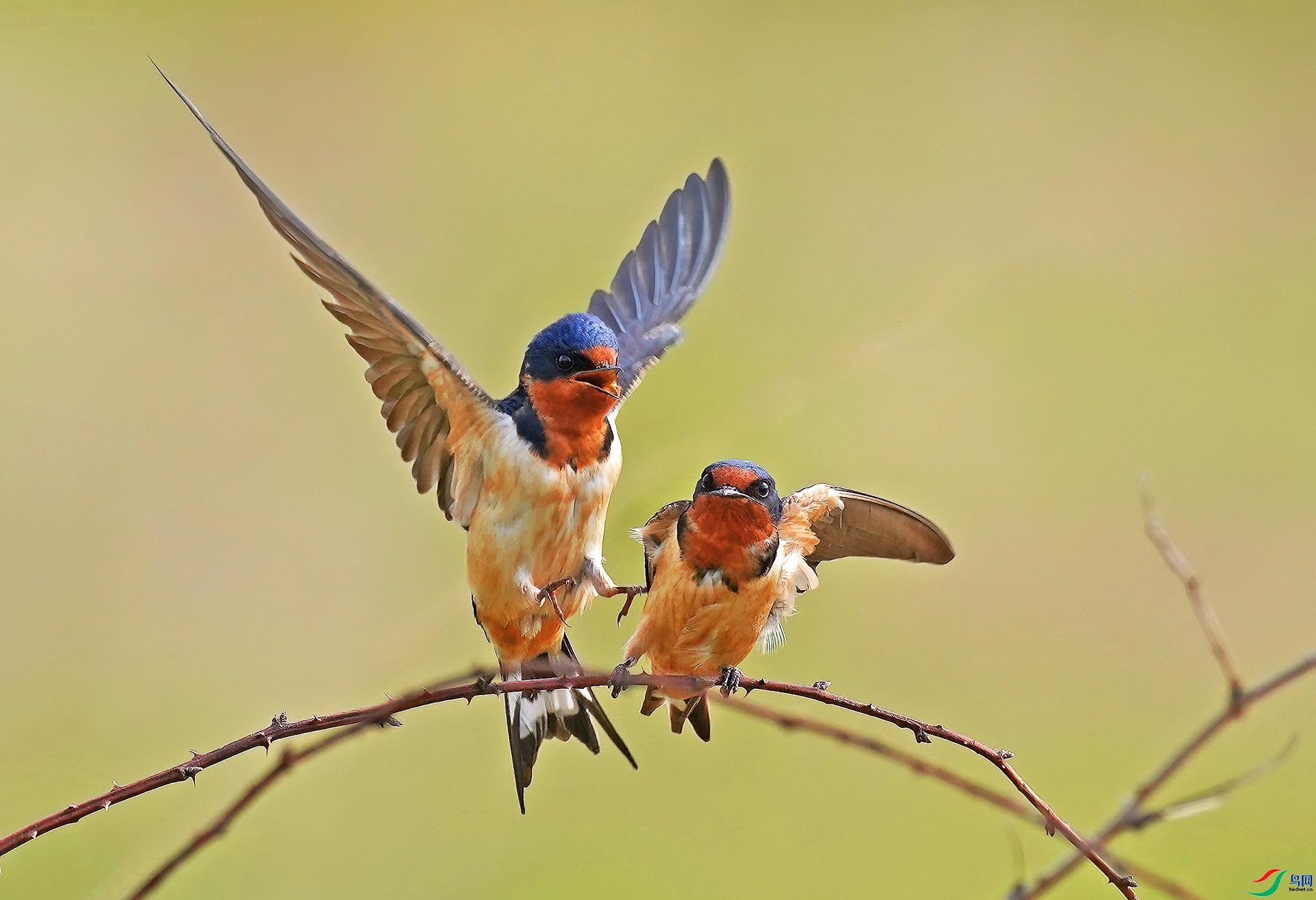 С��ʤ�»�  ���� ��������  ����.jpg