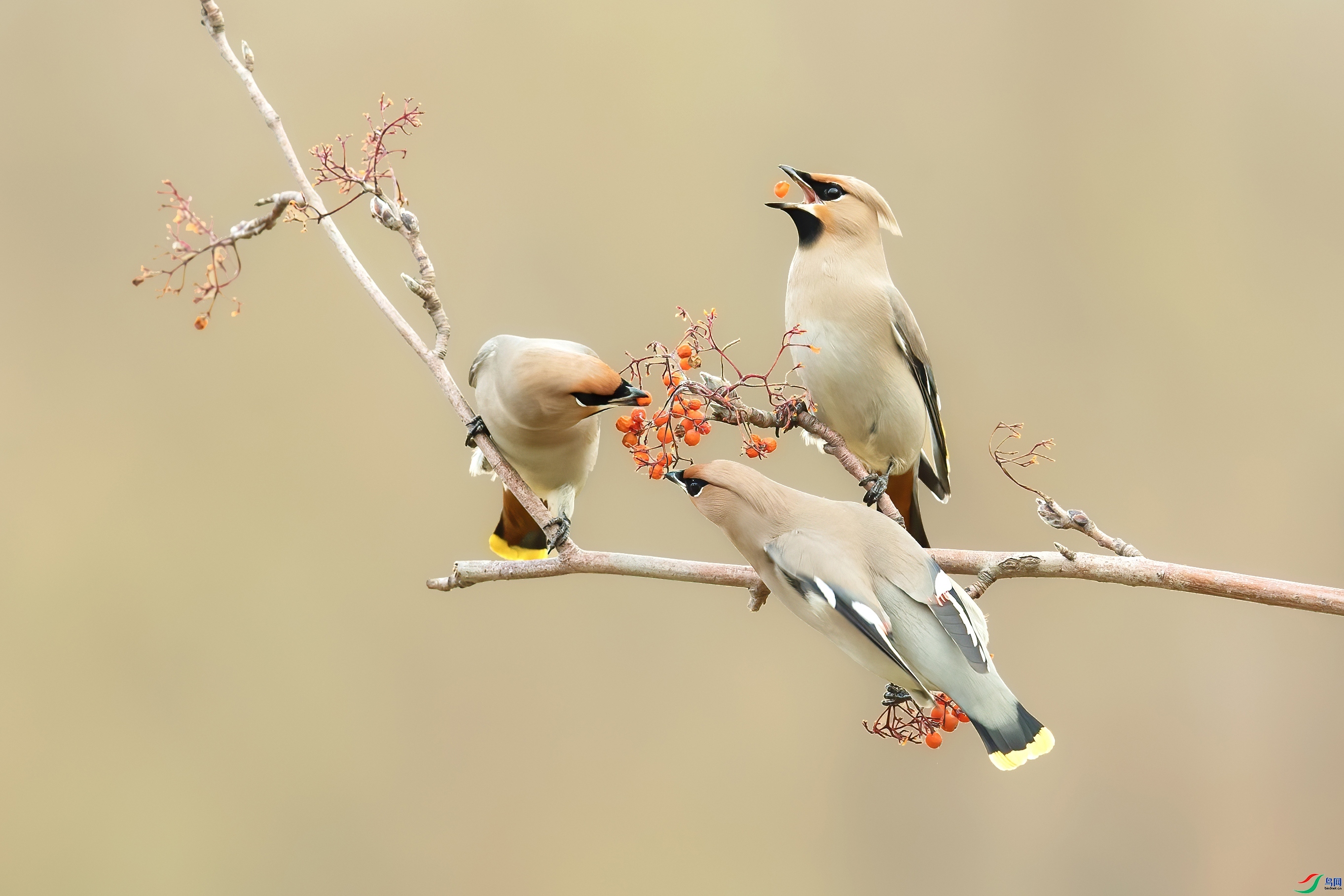 �����  ���� ����·  ����.jpg