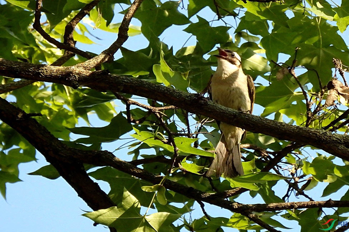 IMG_2404 ��ѹ����.jpg