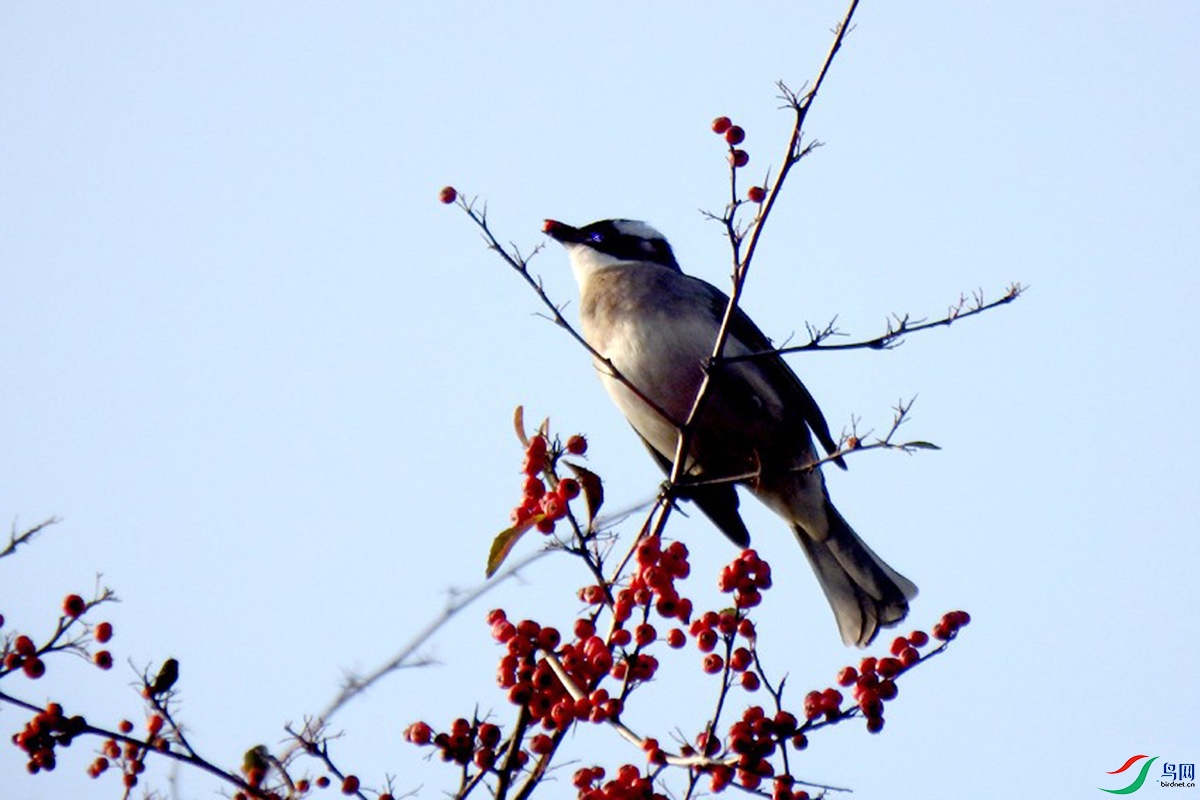 IMG_2403 ��ѹ����.jpg