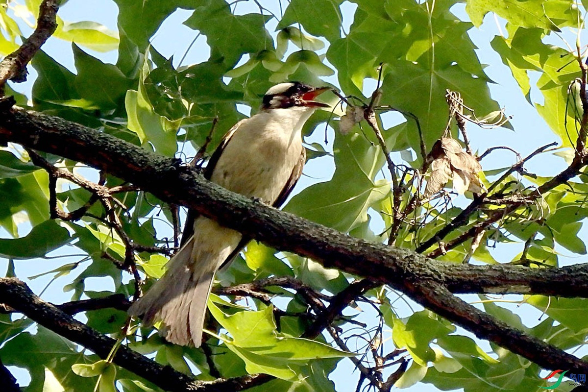 IMG_2401 ��ѹ����.jpg