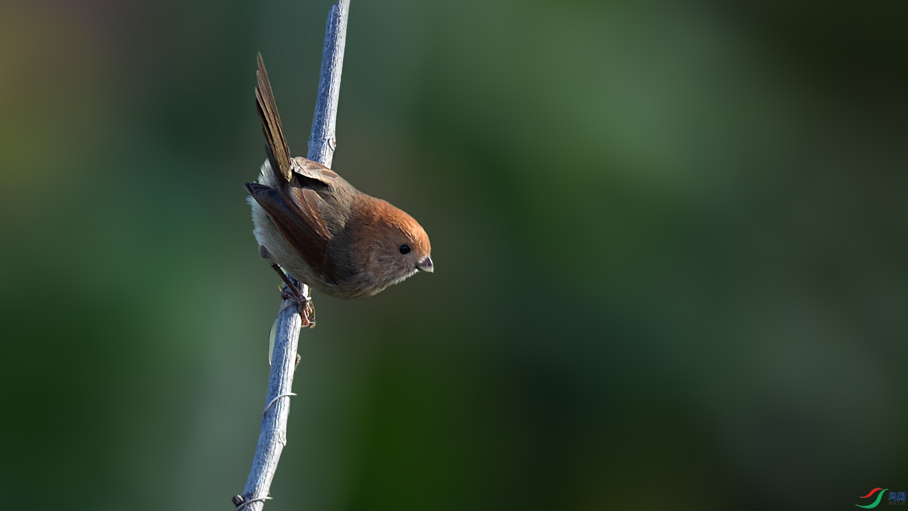 DSC_5924.jpg