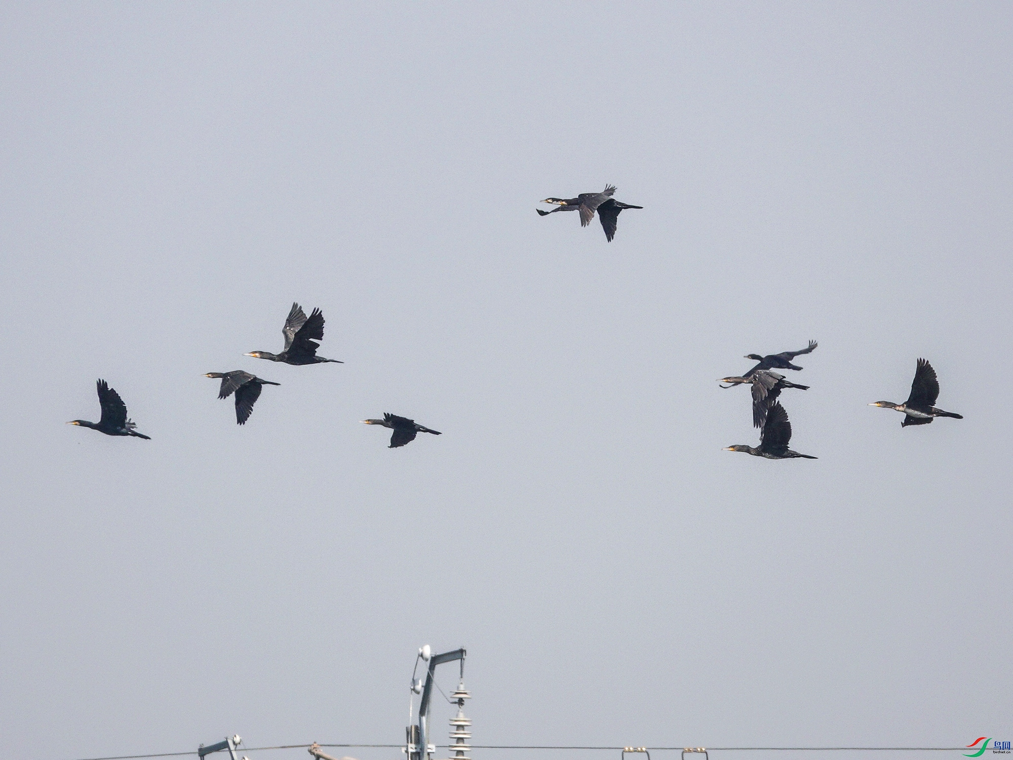 DSC07017ab.jpg
