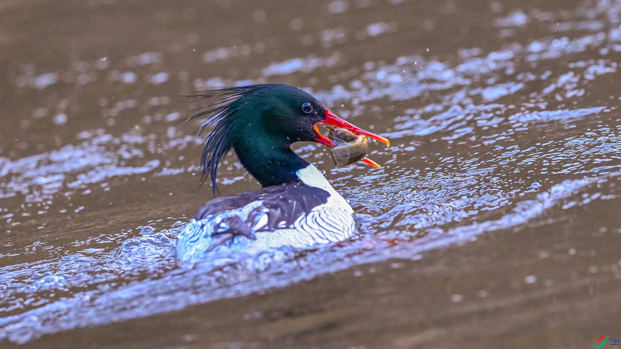 1302 ����.jpg