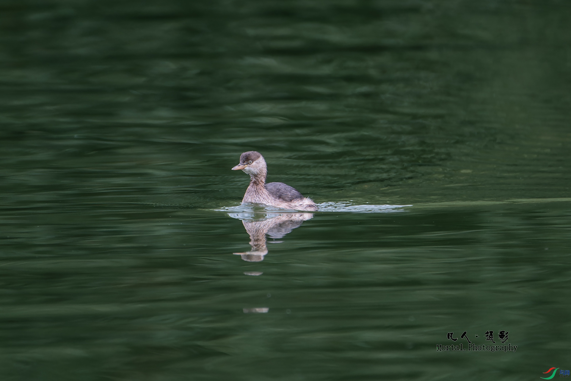 00101 ����.jpg