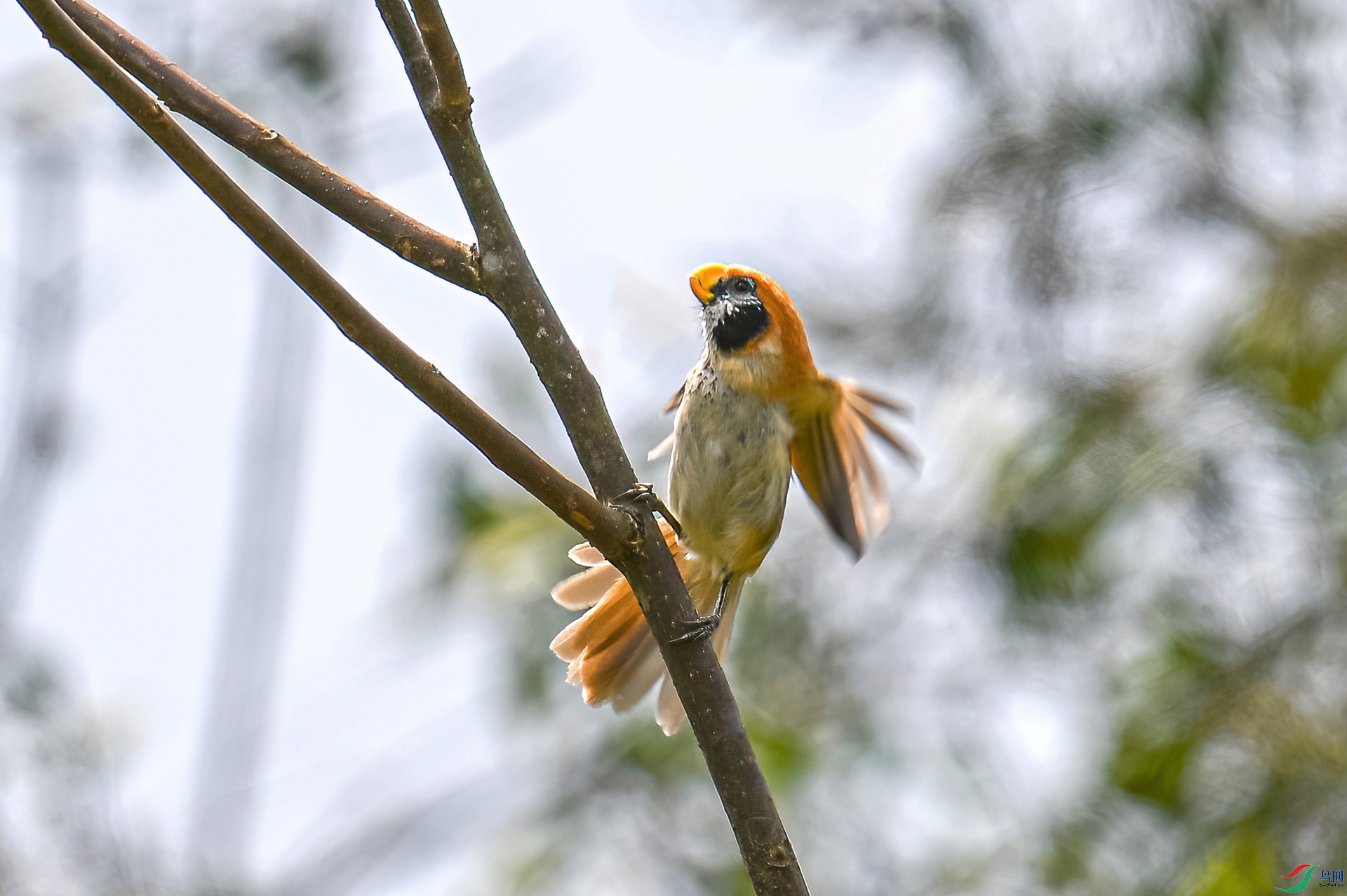 DSC_7249.jpg