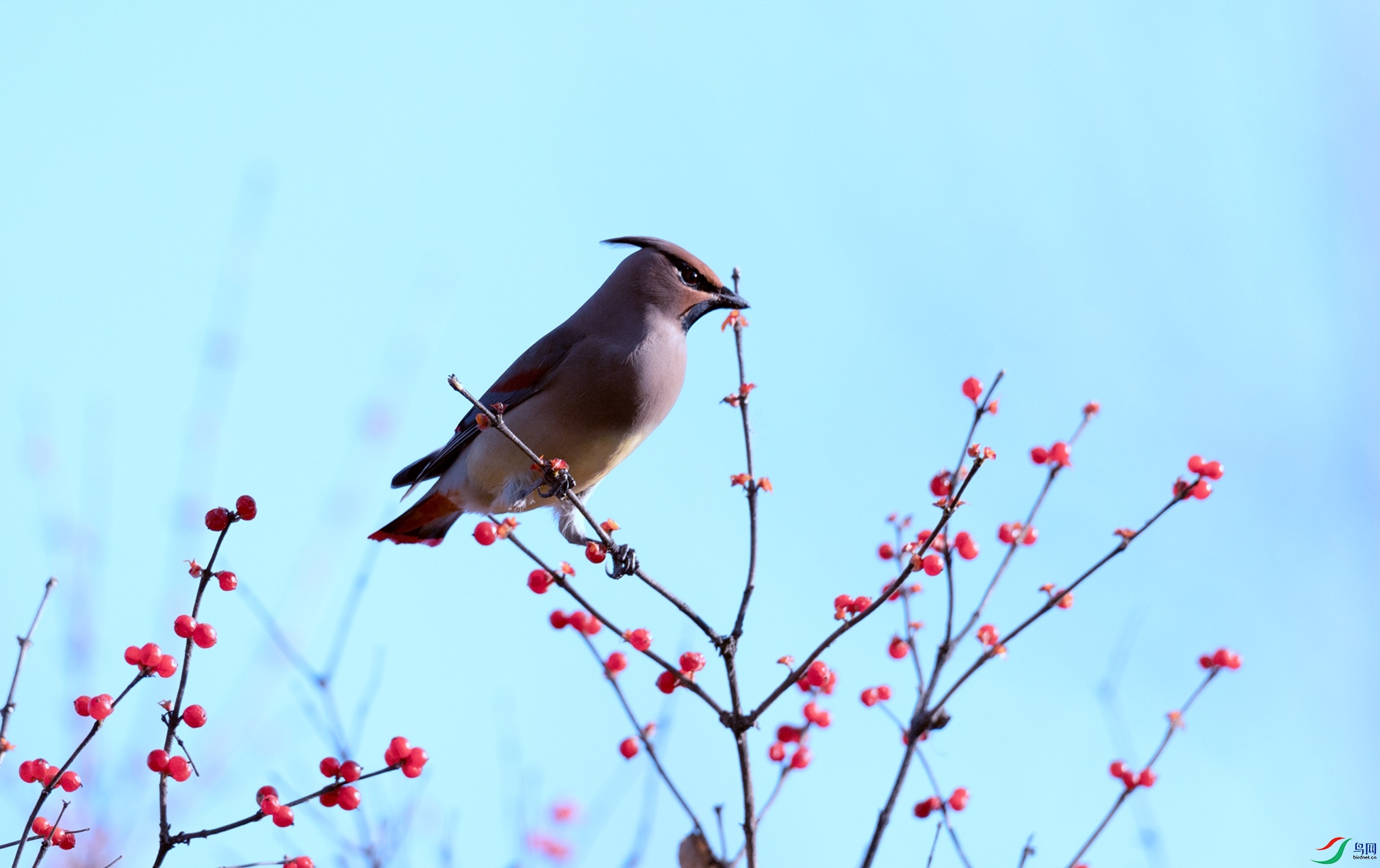 _X5A0234 - ����.jpg