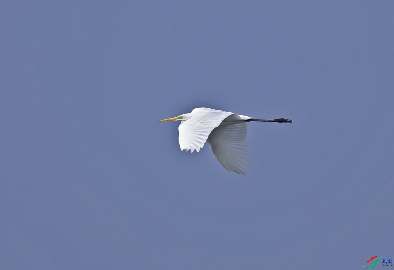 _DSC1770f.jpg