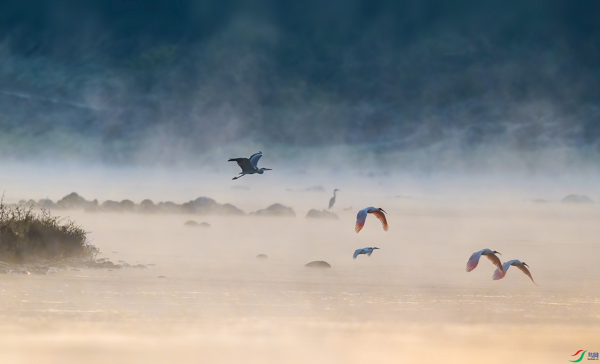 DSC_4572 ����_����.jpg