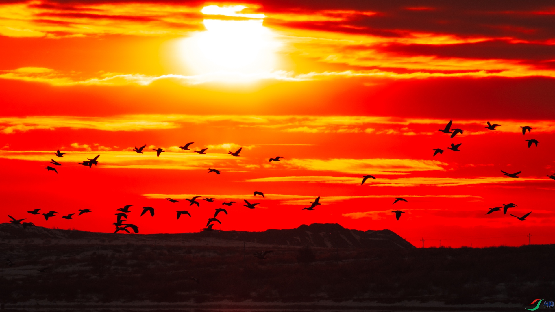 ��ϼӳ�ڱ��������