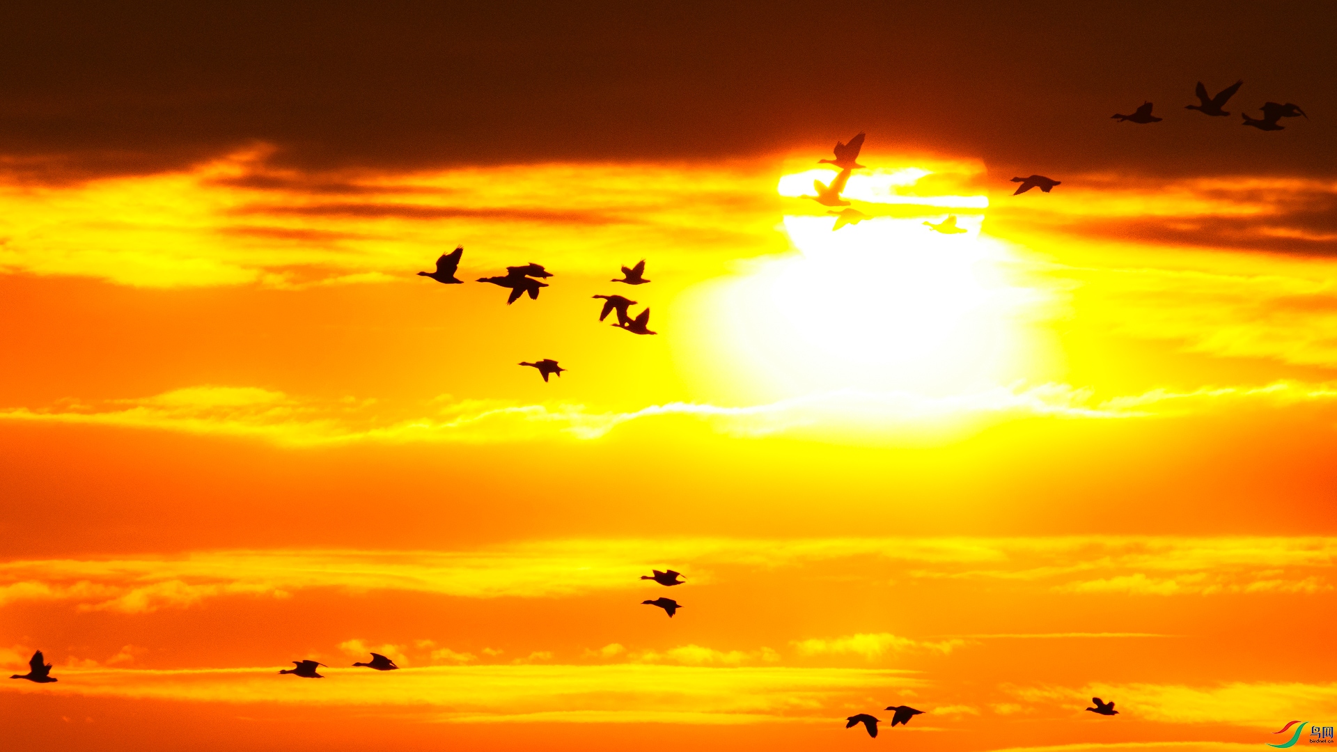 ��ϼӳ�ڱ�������ϣ�����