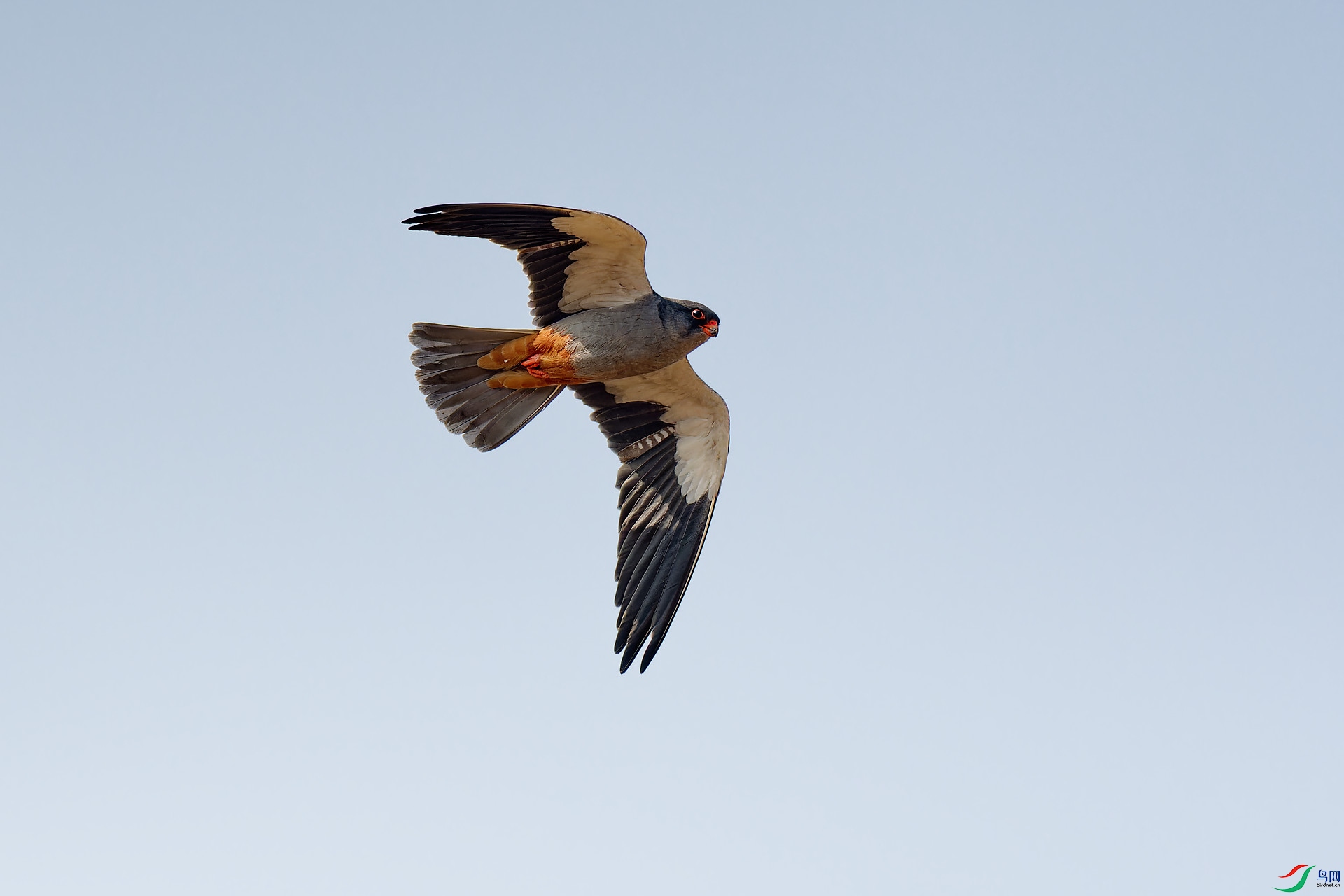 DSC_6174.jpg
