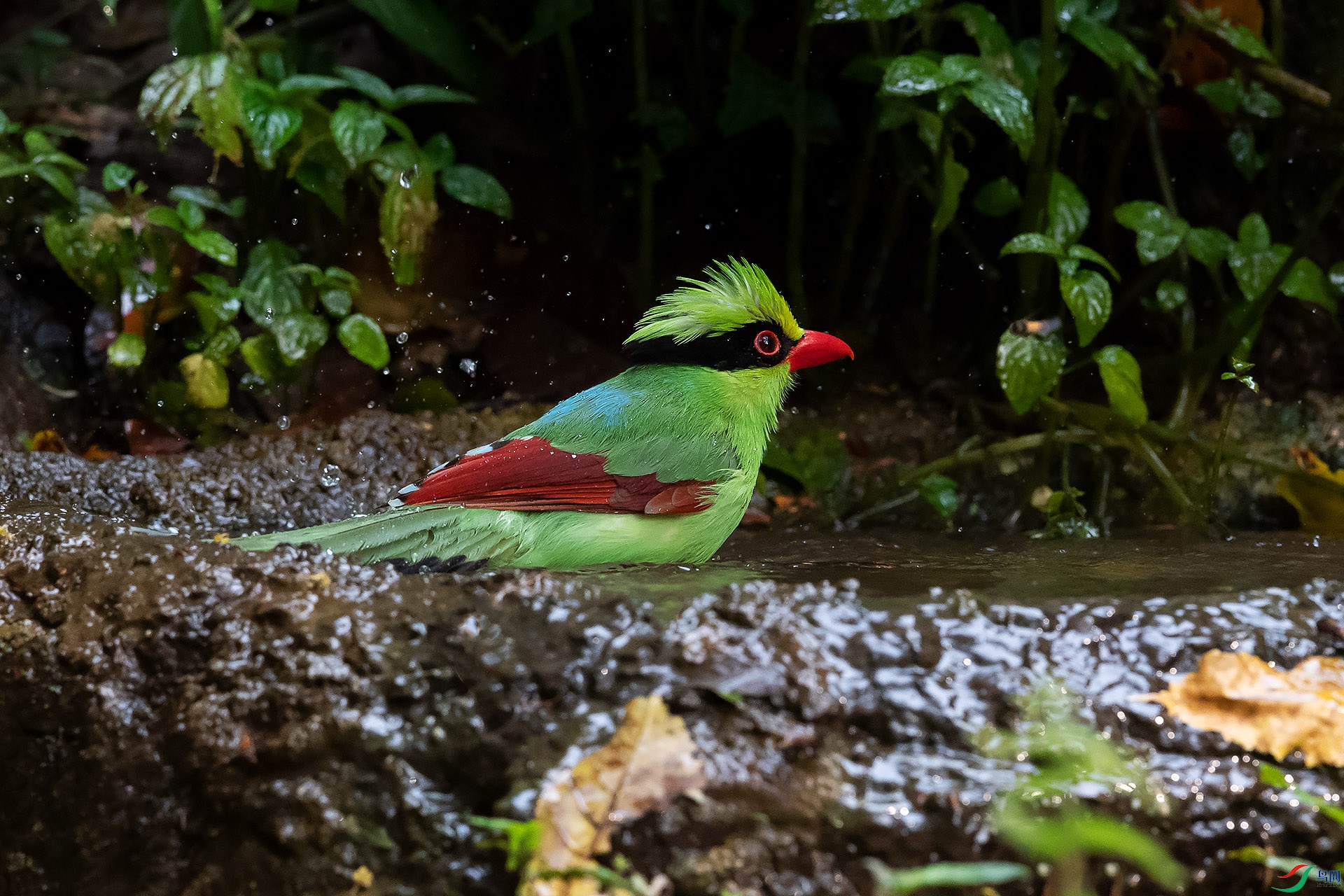 DSC_2813.jpg