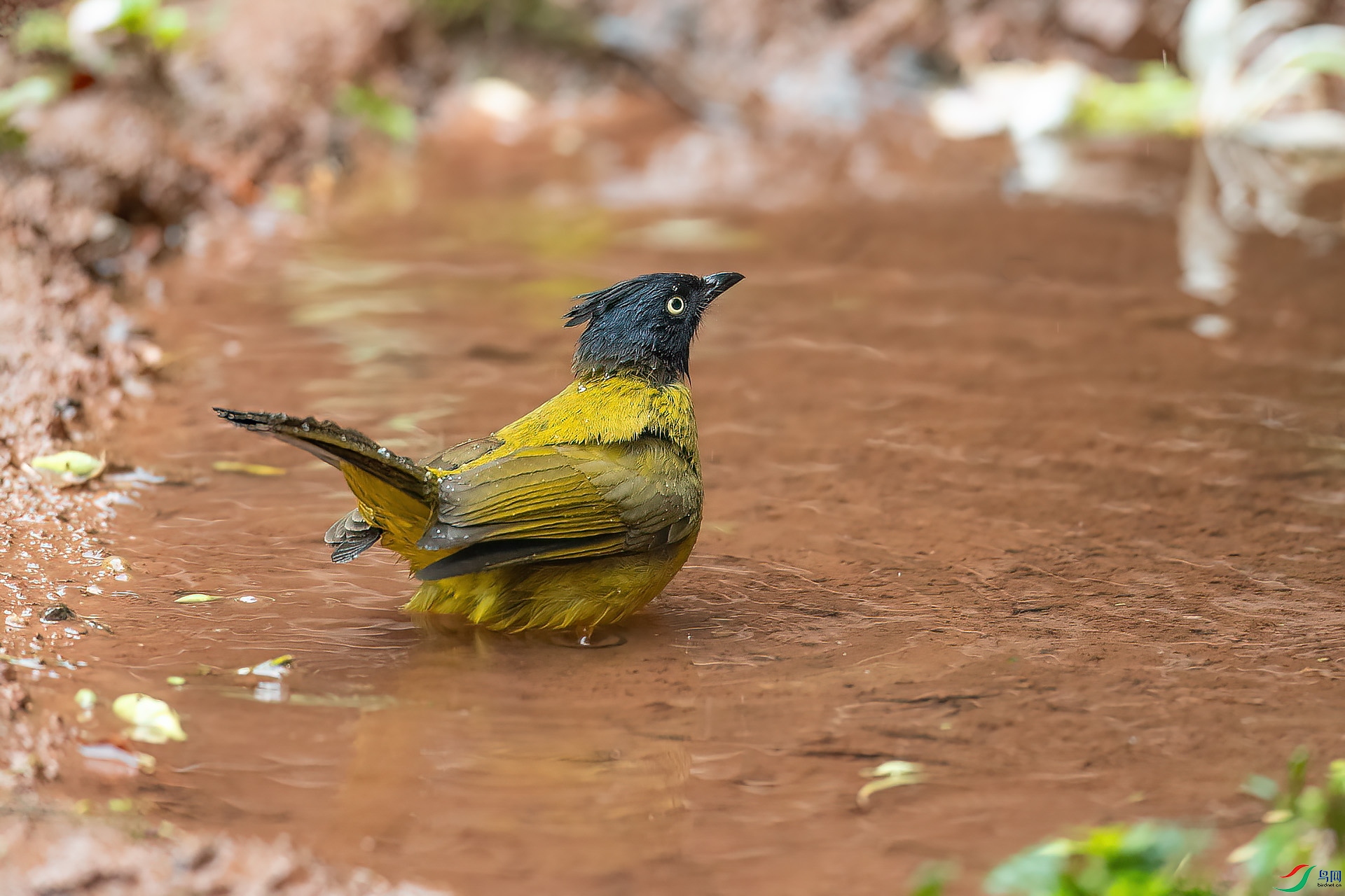 DSC_2696.jpg