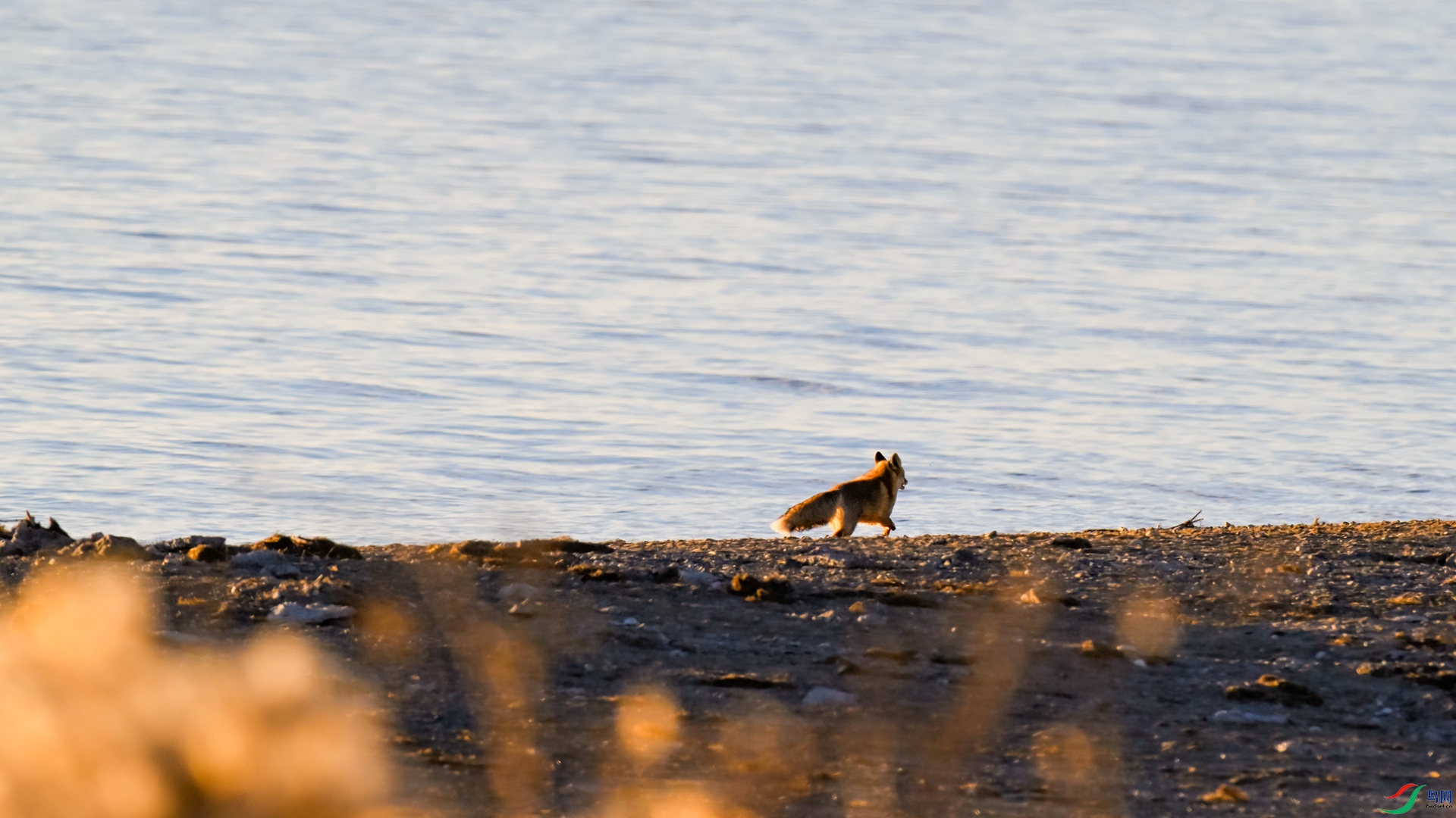 _DSC4436_����.jpg