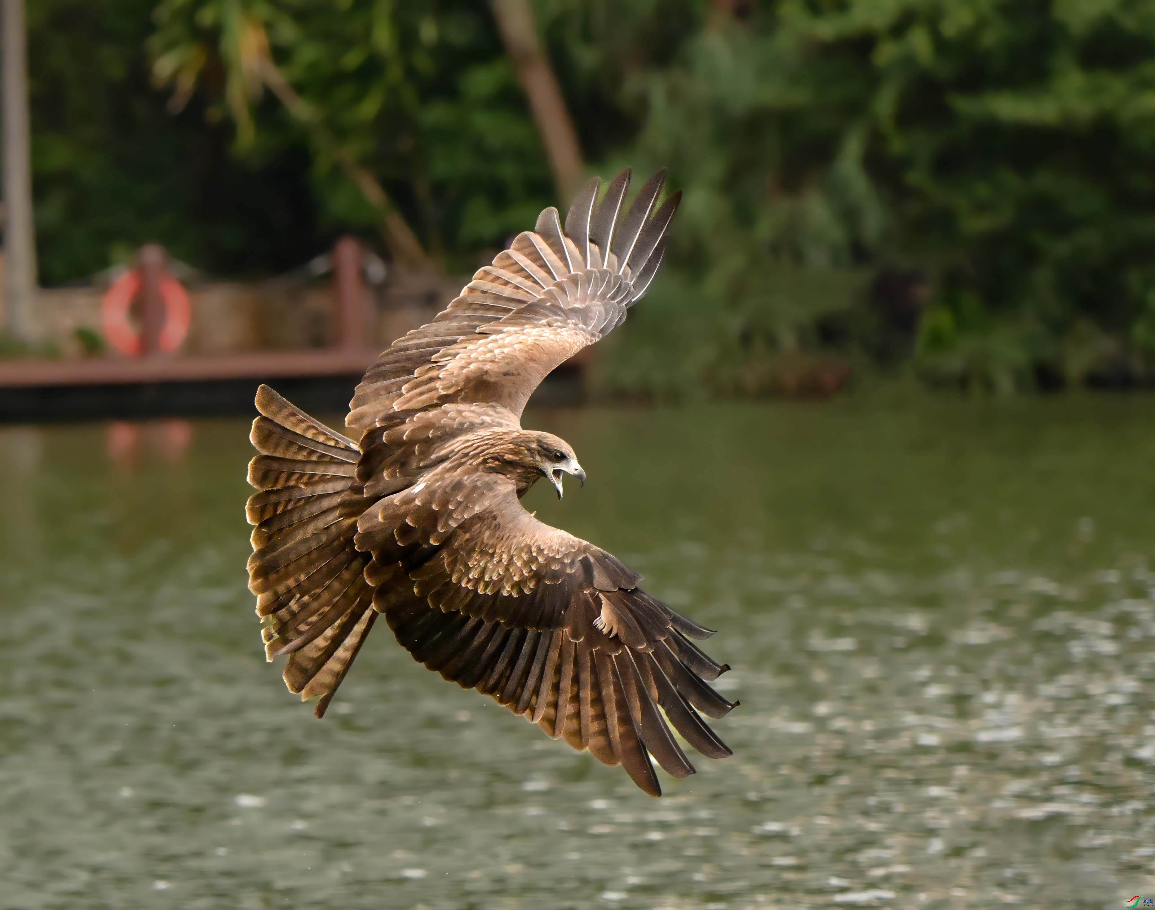 DSC_37671.jpg