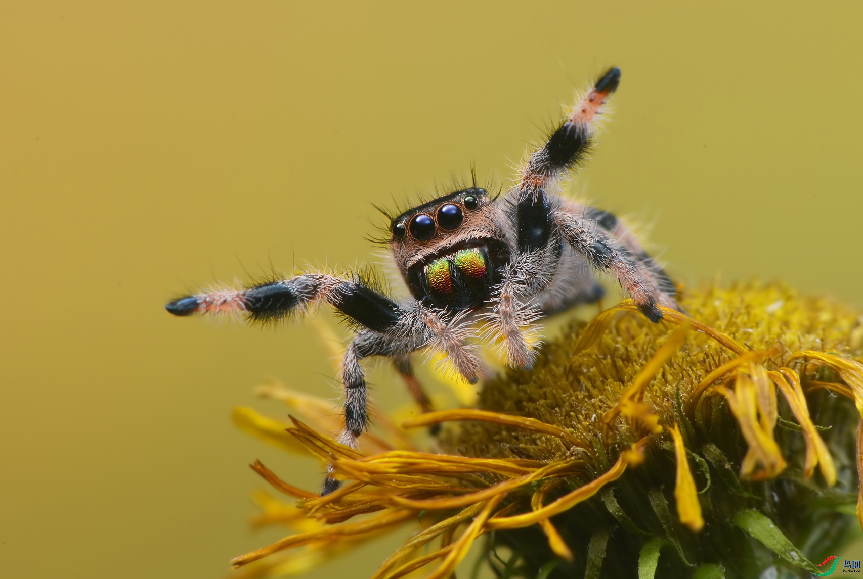 DSC_6798 �� ����..JPG