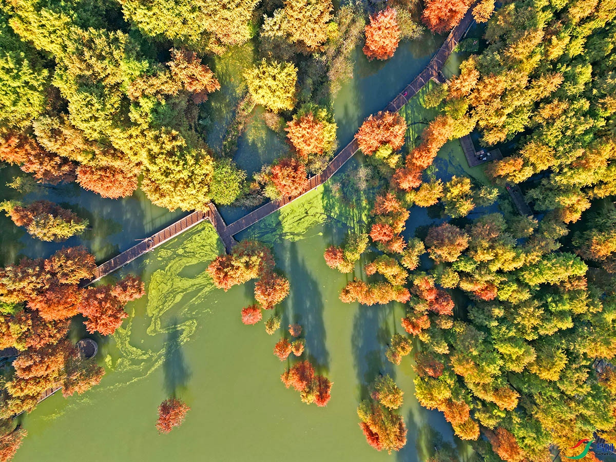 DJI_0896.jpg