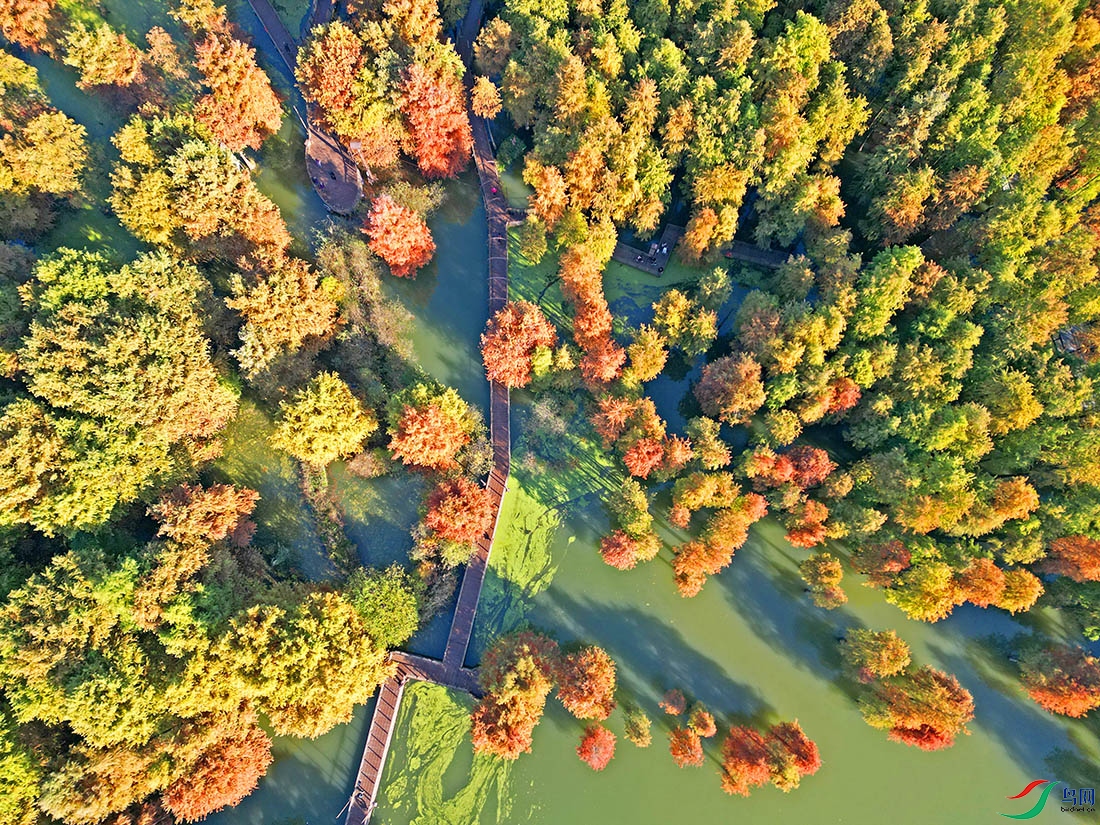 DJI_0895.jpg