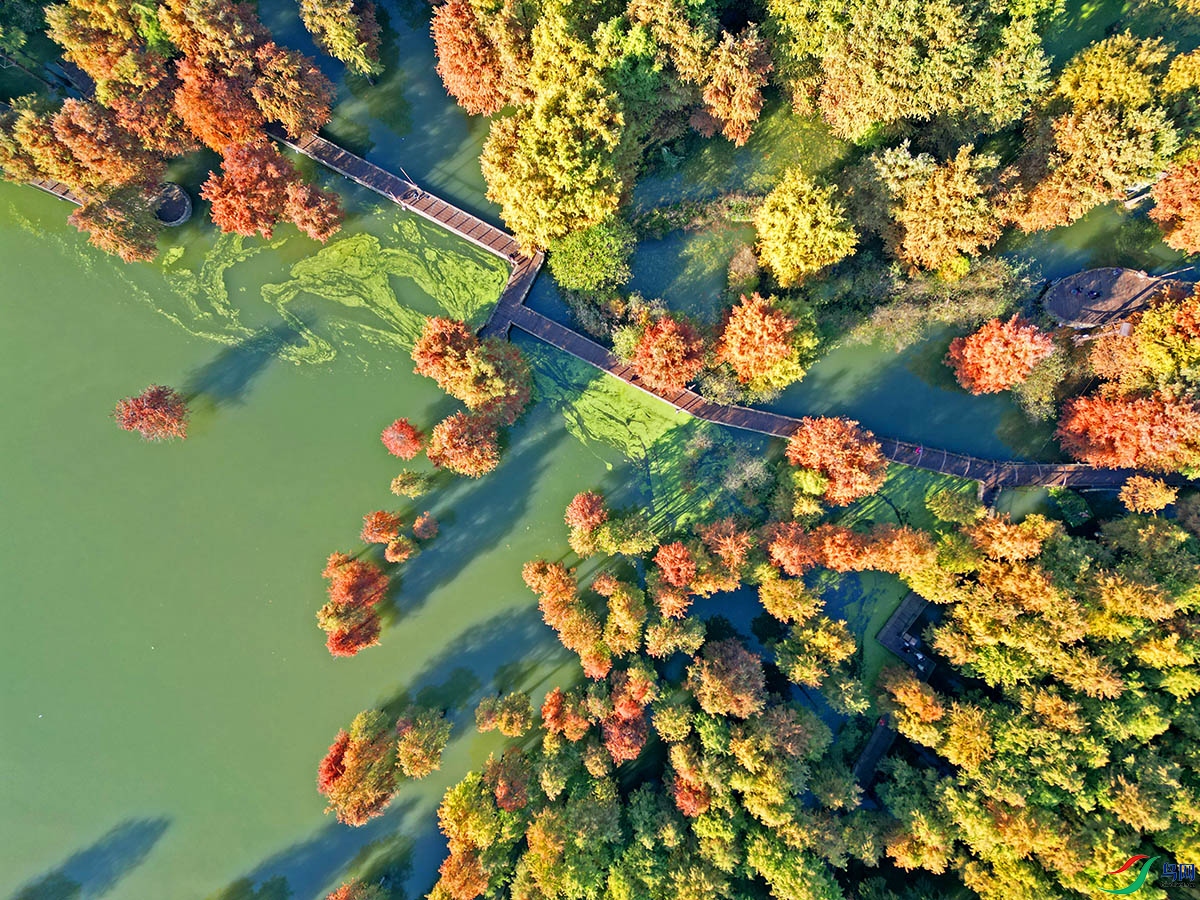 DJI_0897.jpg