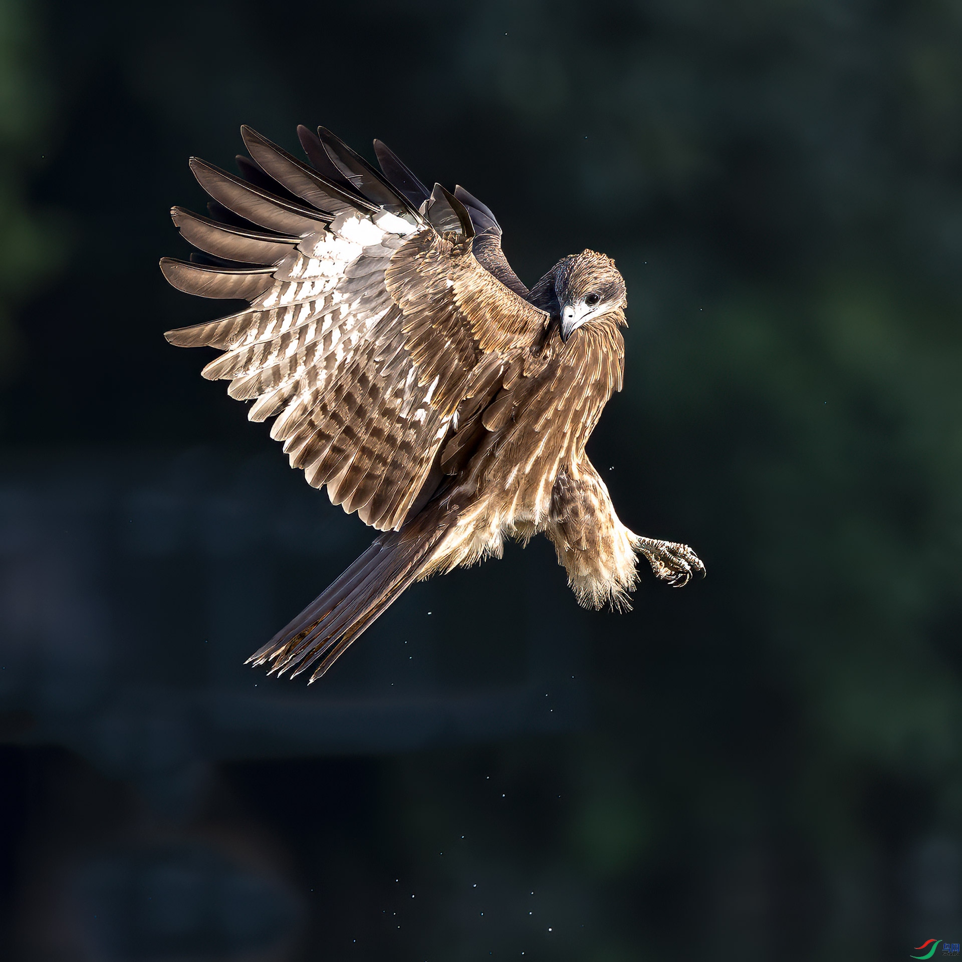 ����-���