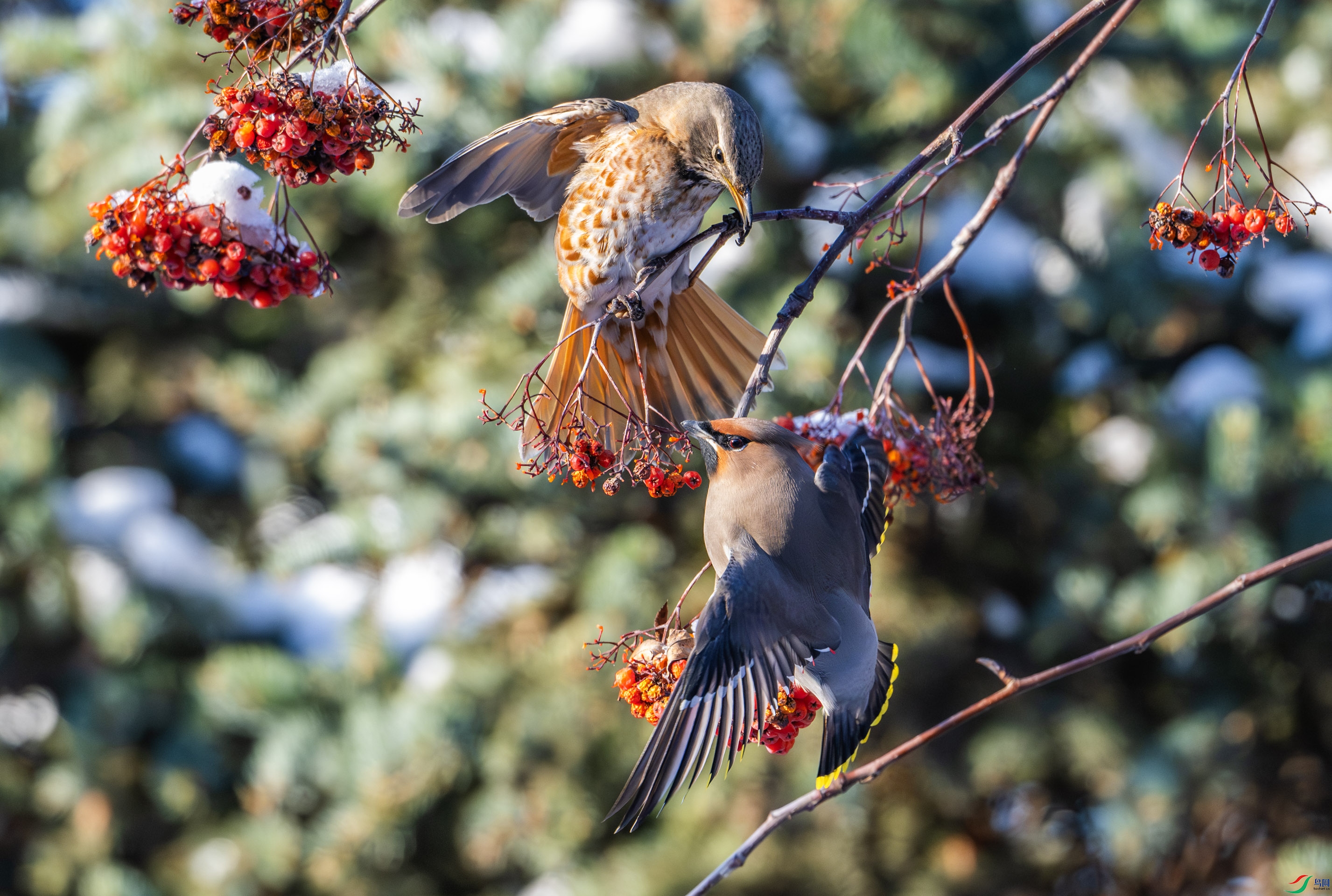 ��β��̫ƽ��