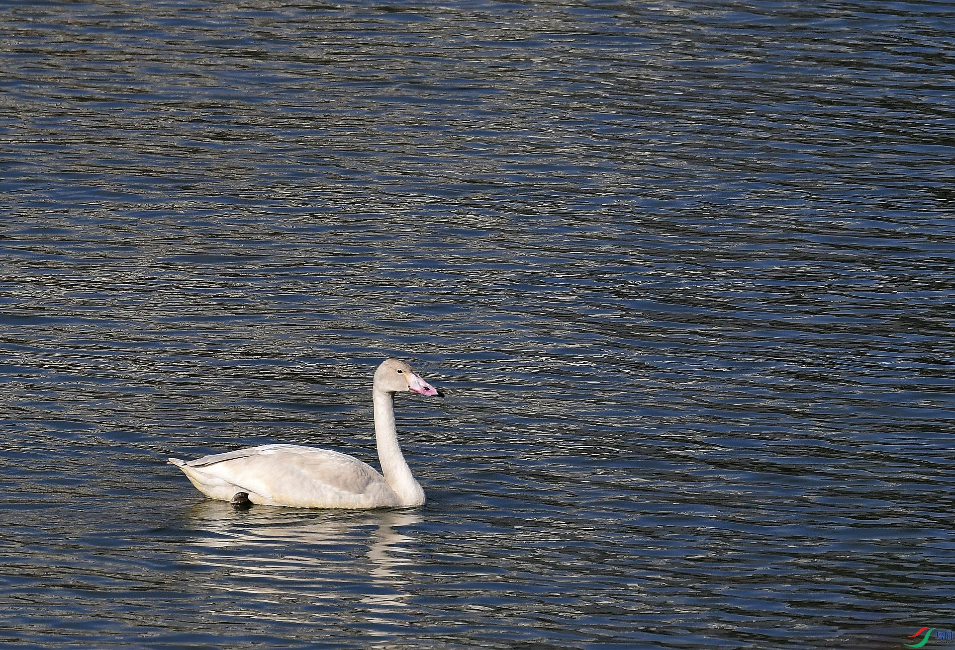 _D5D0163.jpg