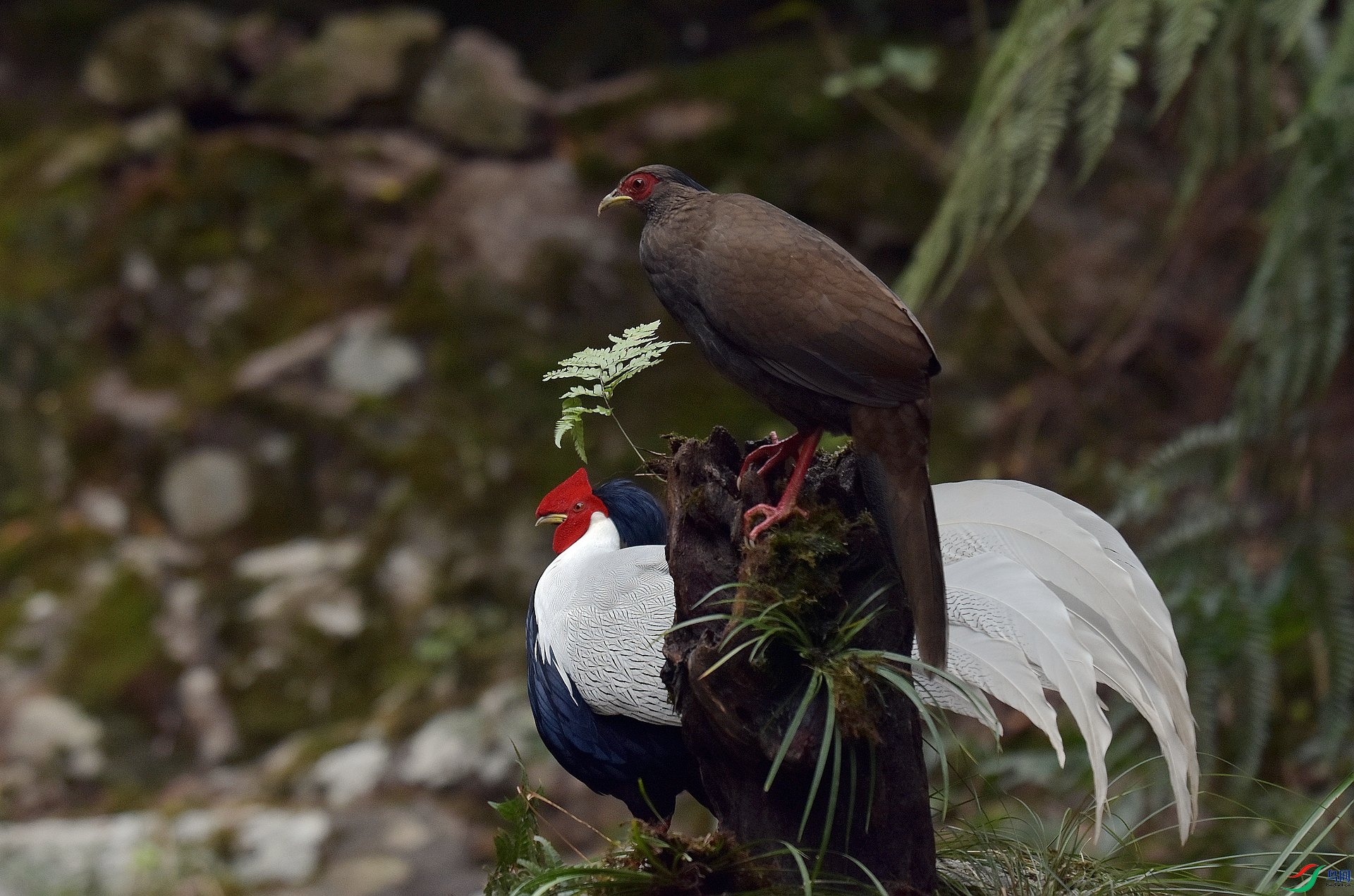 D72_2563.jpg