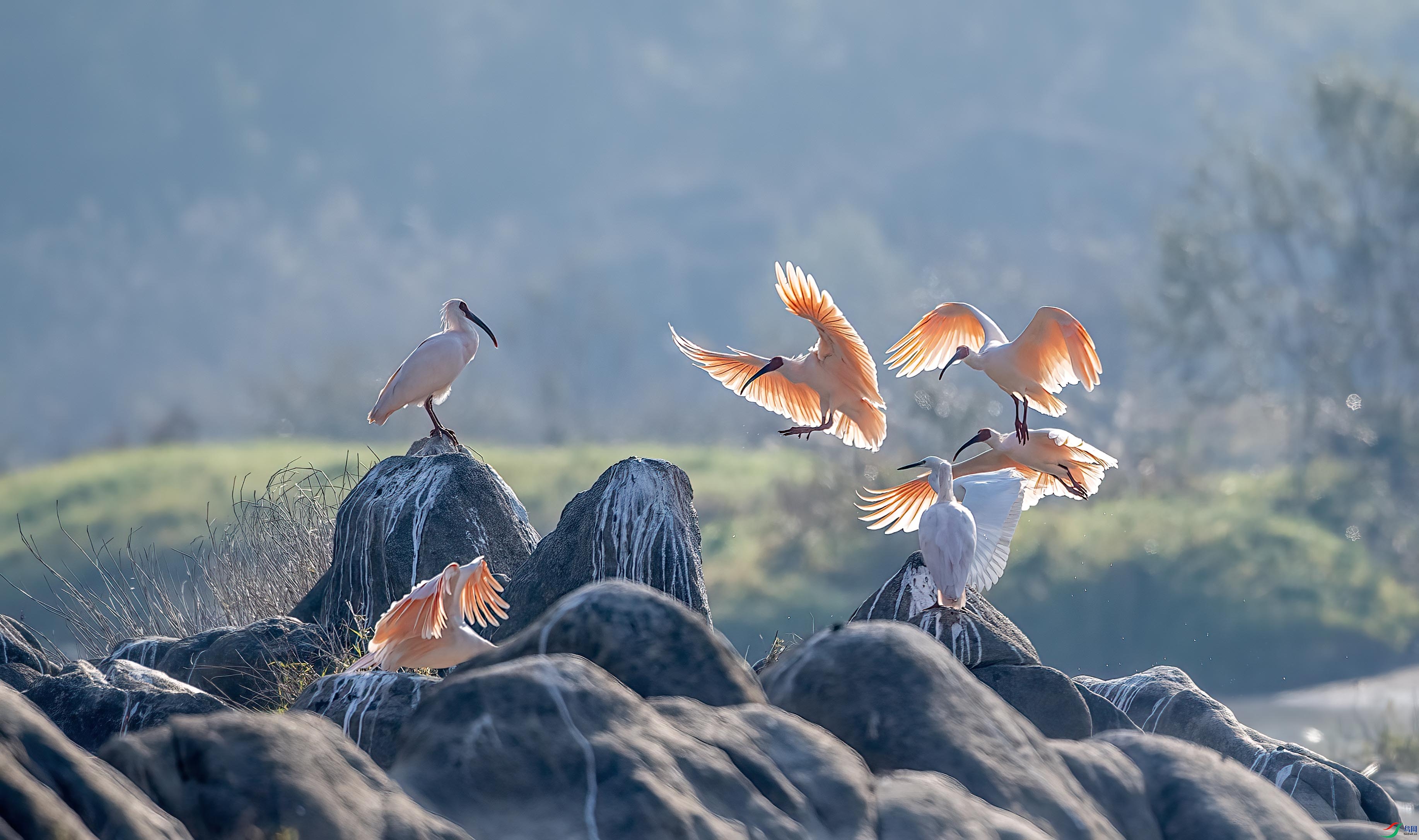 DSC_9023 ����.jpg