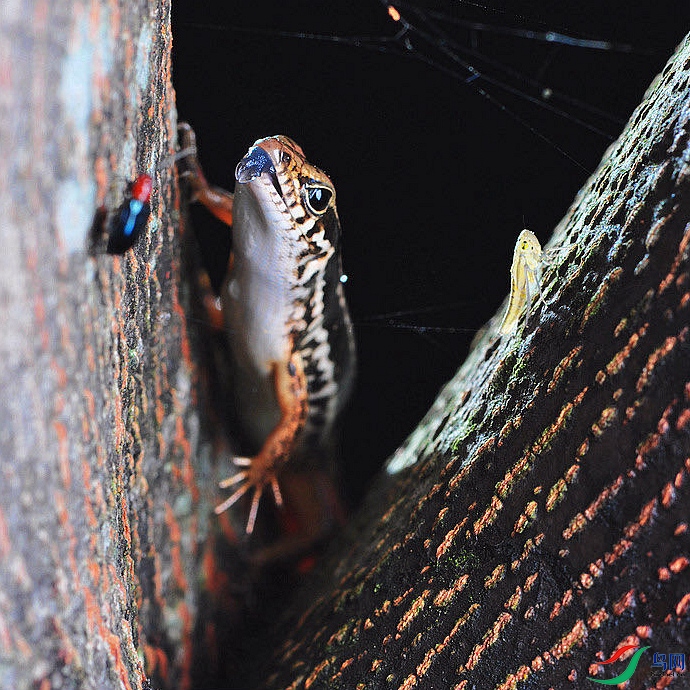 ͼƬ123 ��������.jpg