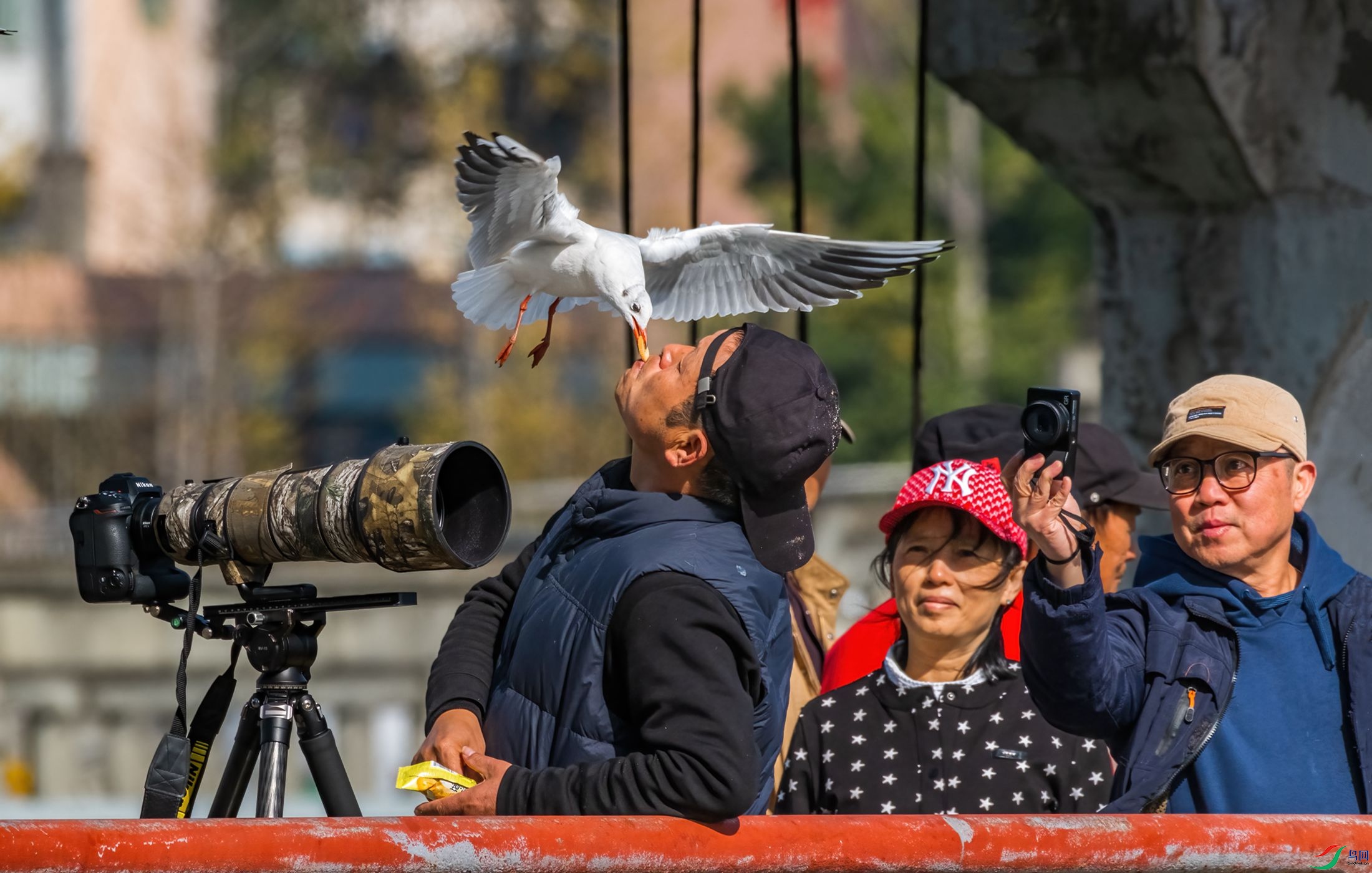 �����˺�г����