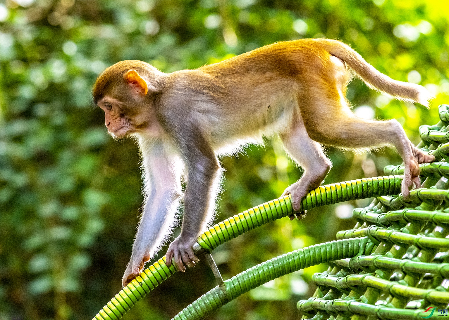 5496 ����.jpg