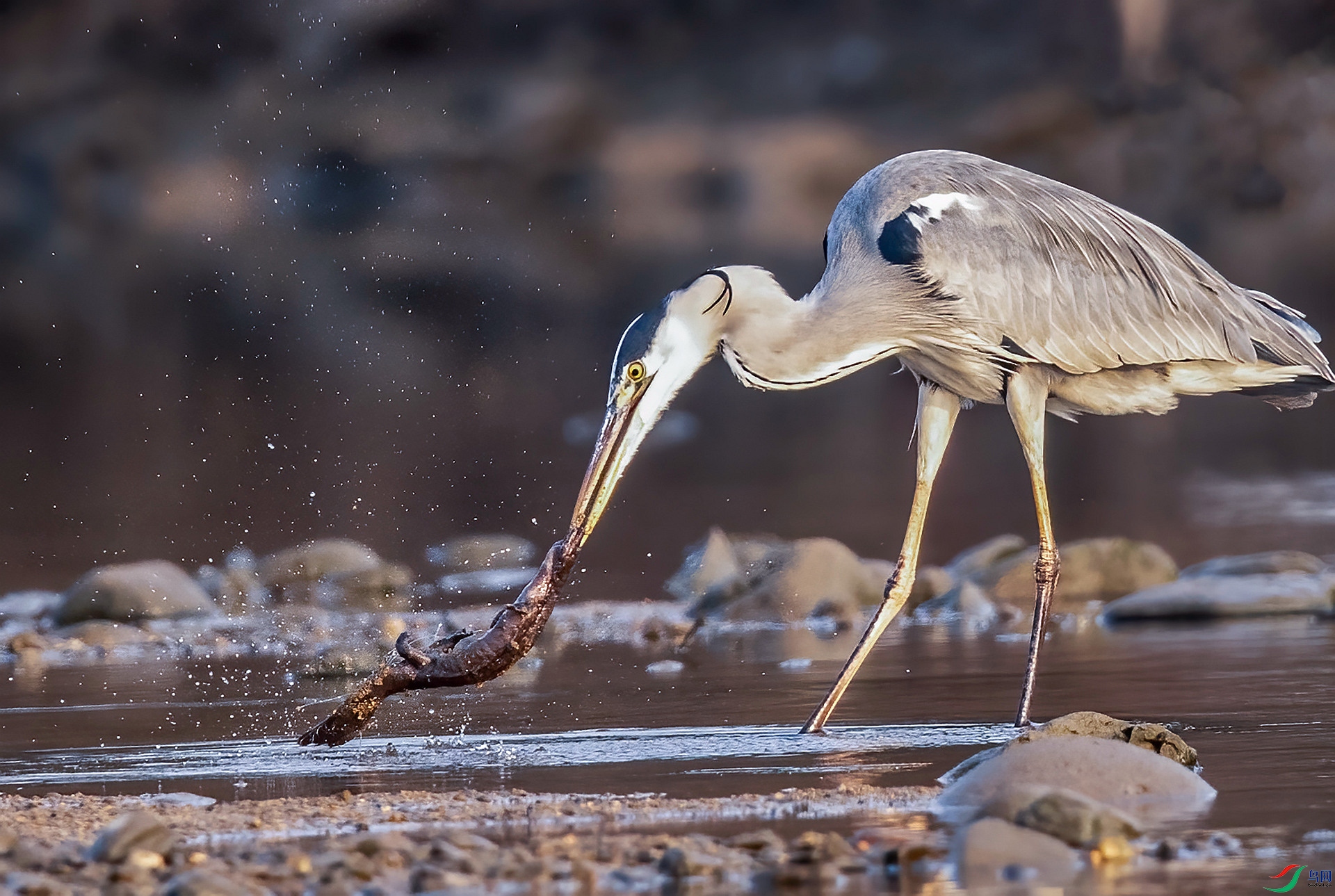 DSC_1760 ����_����.jpg