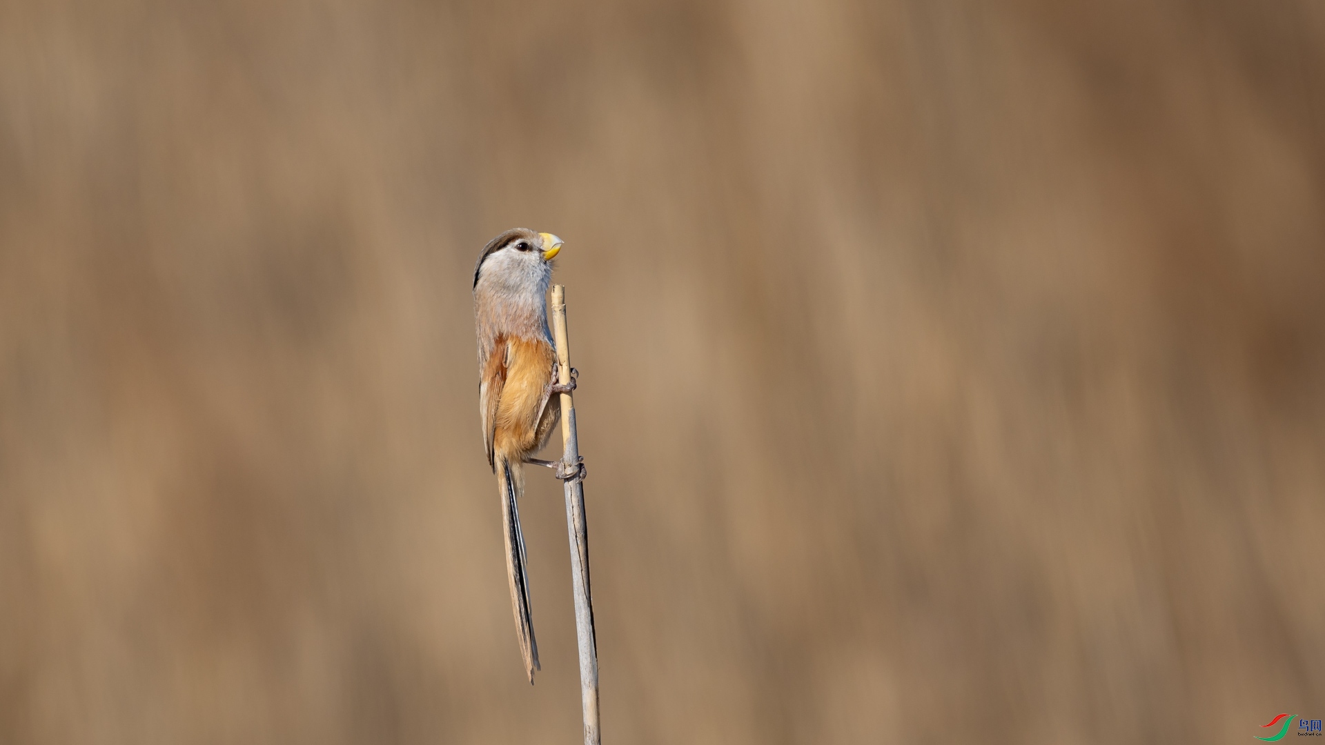 a_306721.jpg