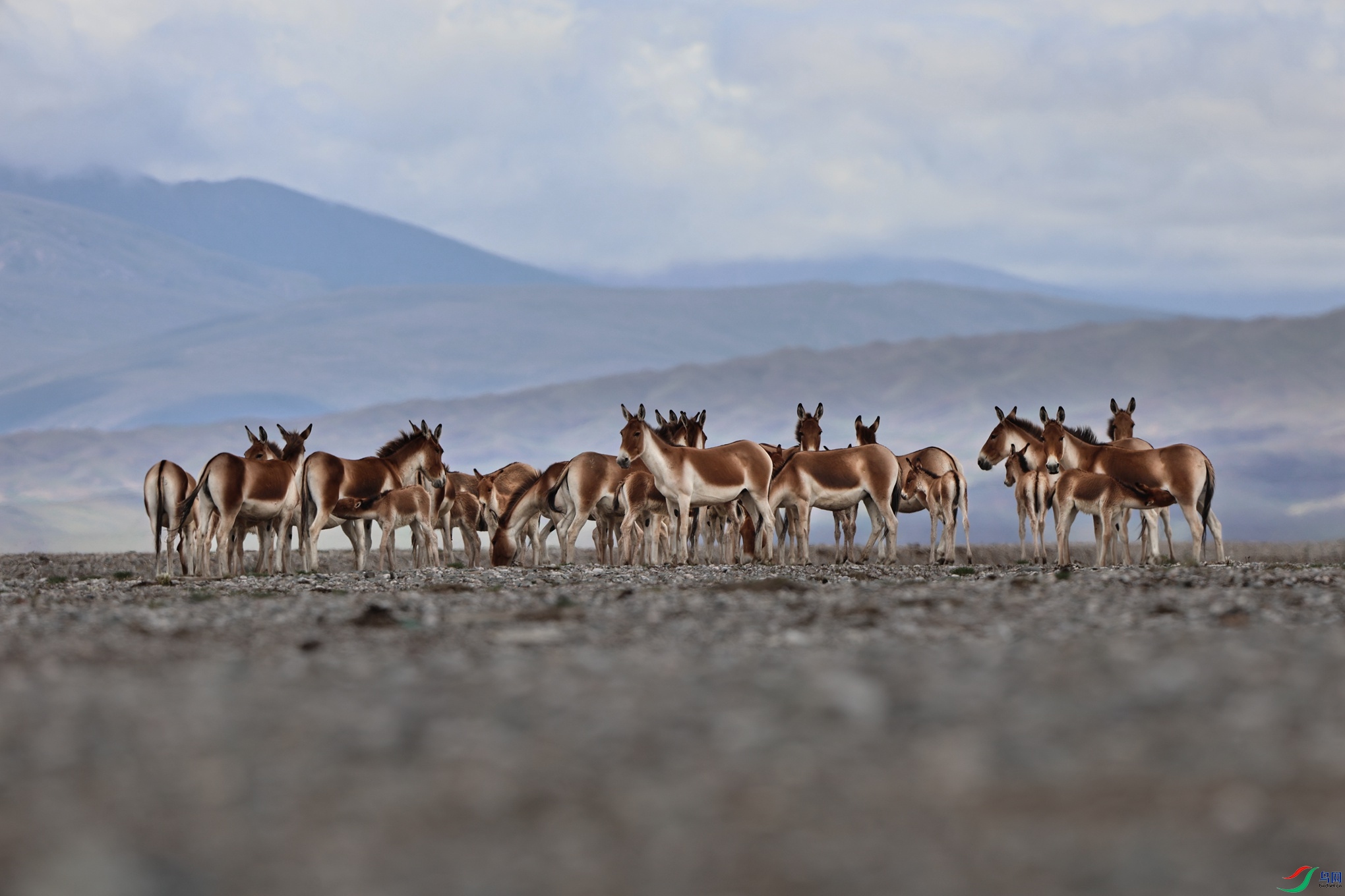 7X5A5613 - ����.JPG