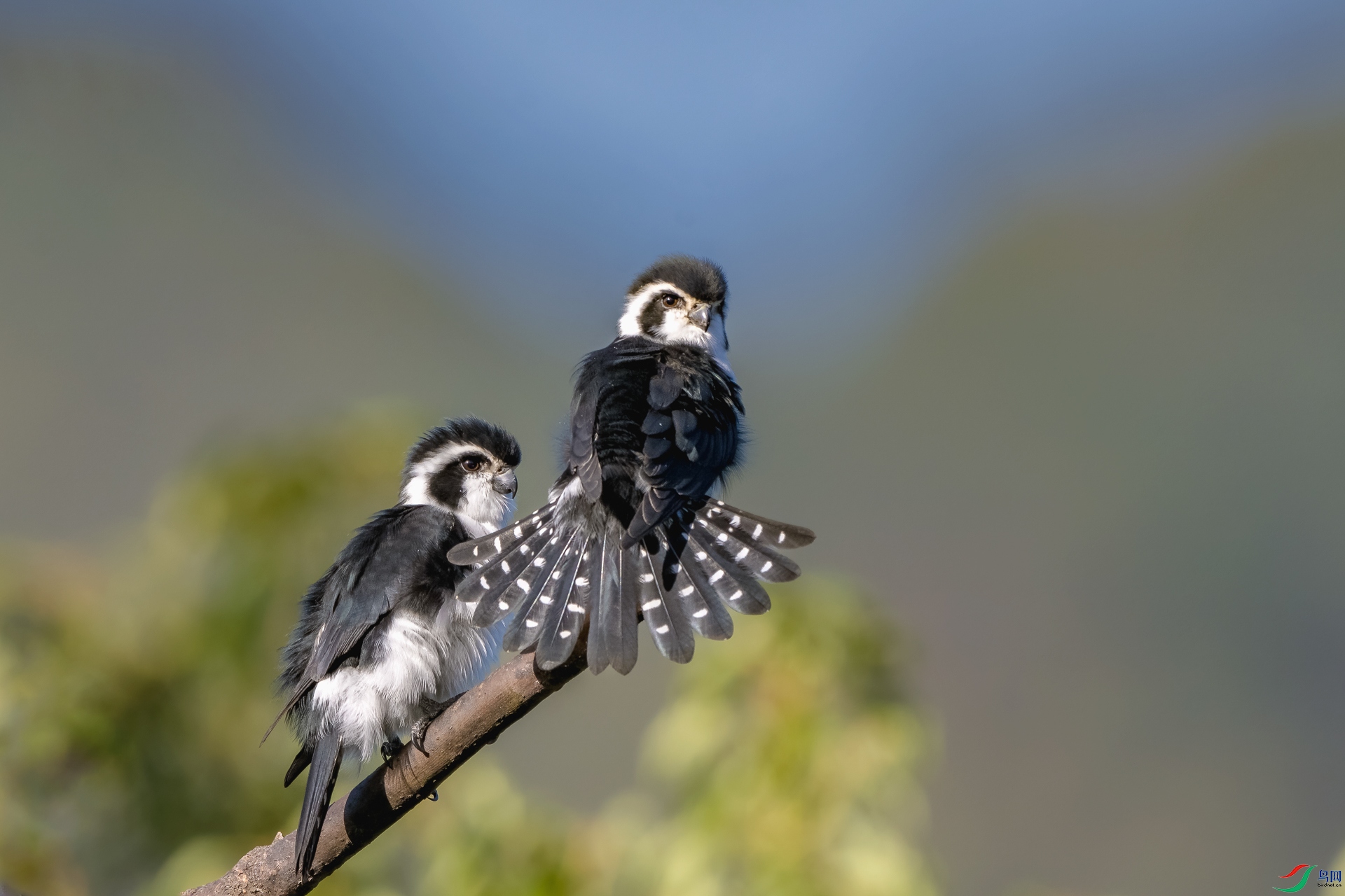 DSC_3010 ��_1.jpg