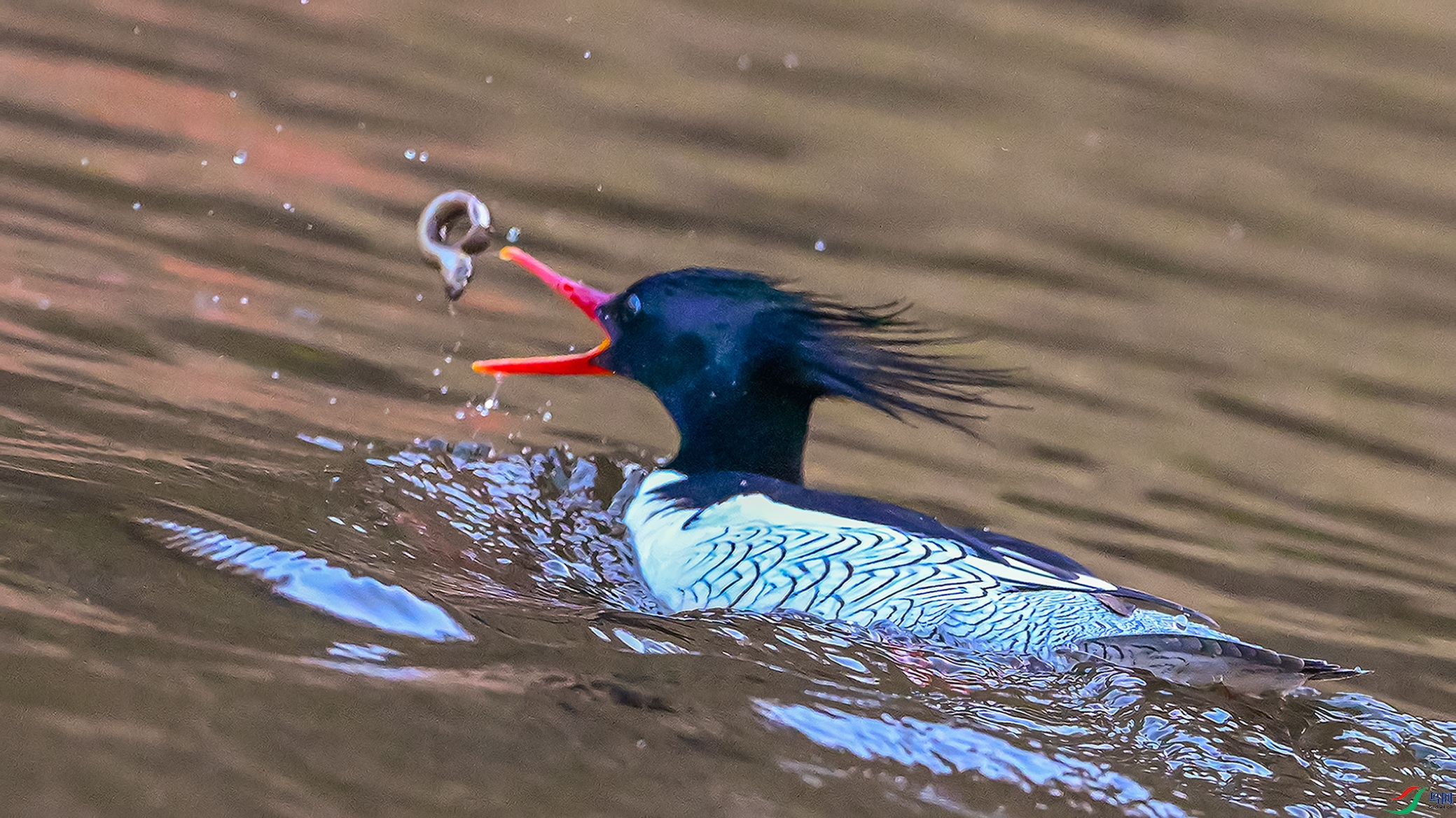 1440 ����.jpg