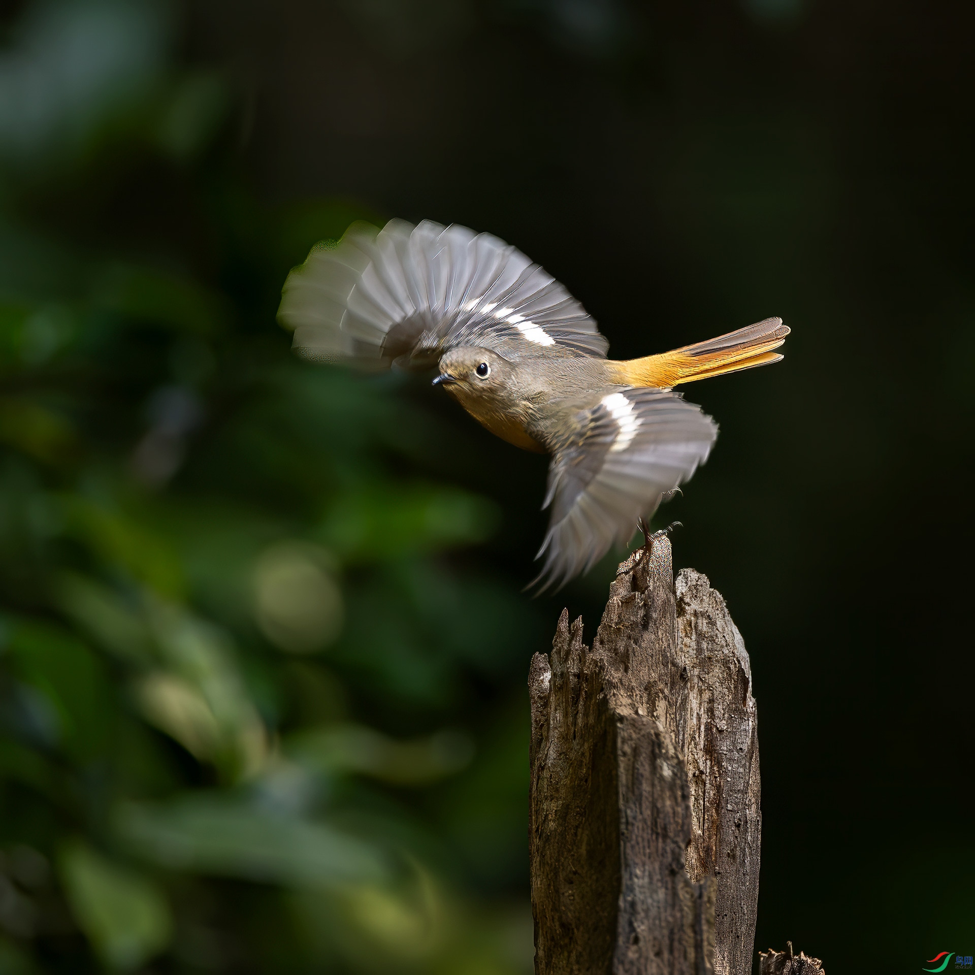 ����β����