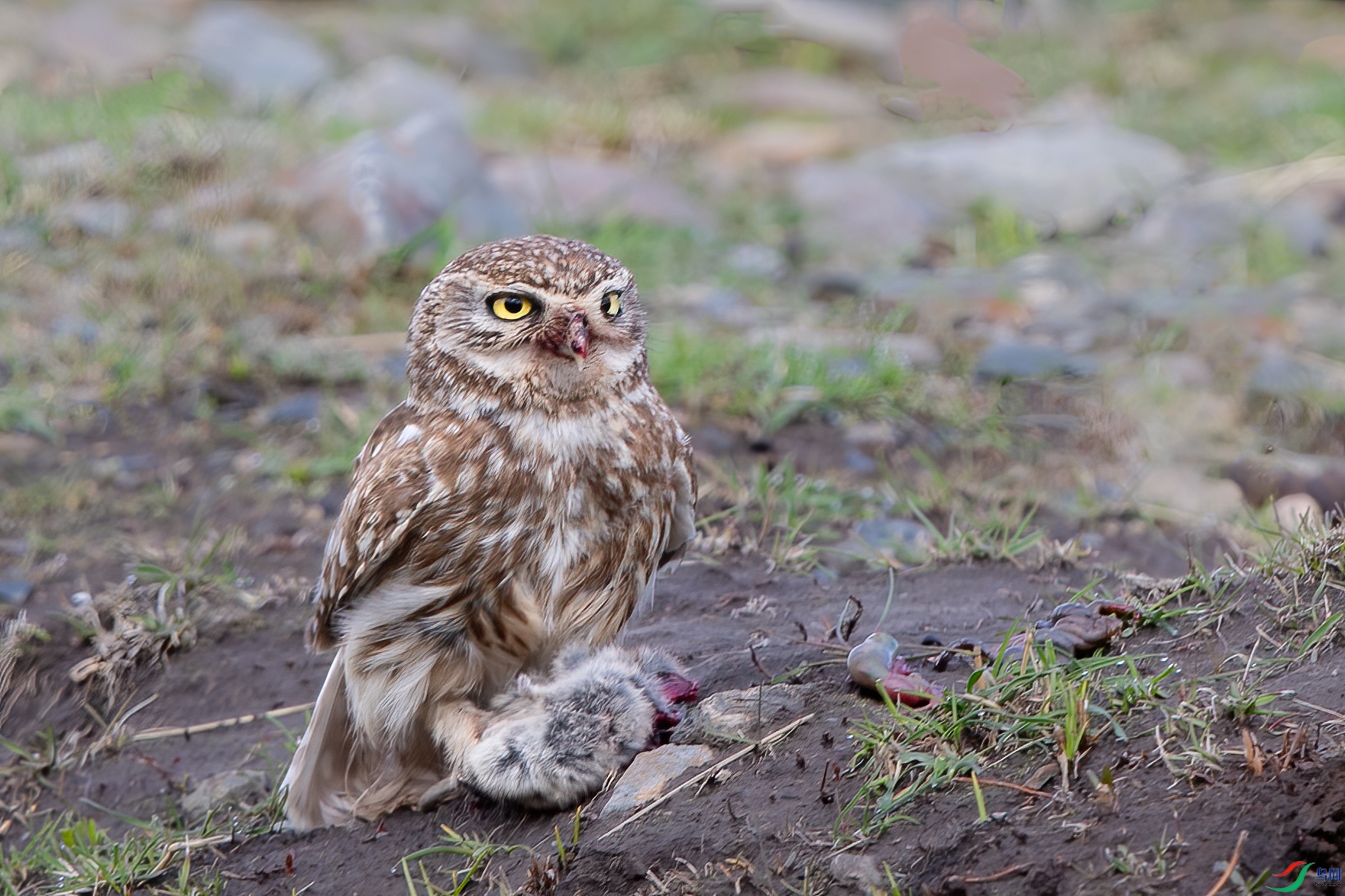 AY8I0363 ����.jpg