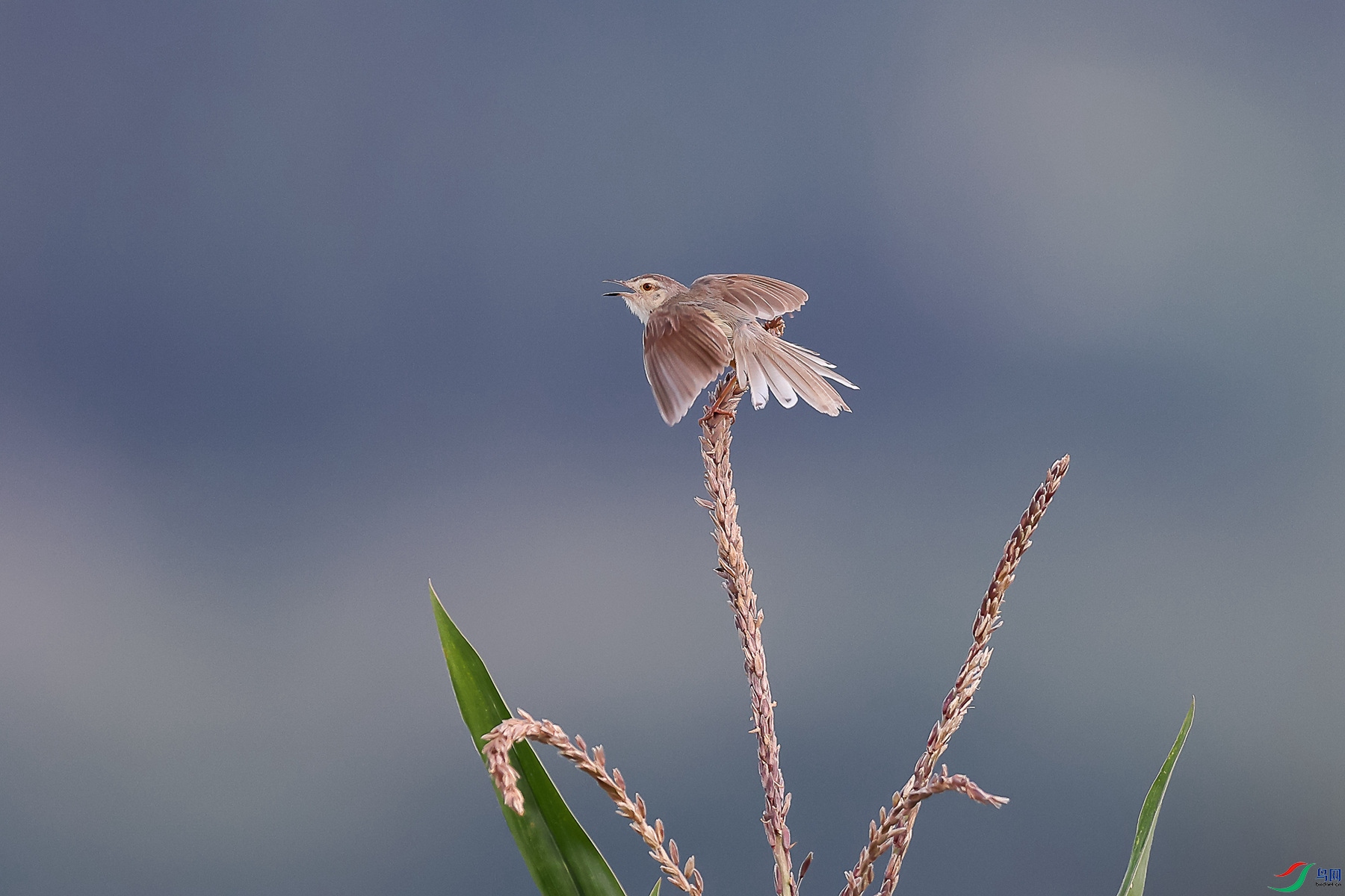 1M6A2957 ����_����.jpg