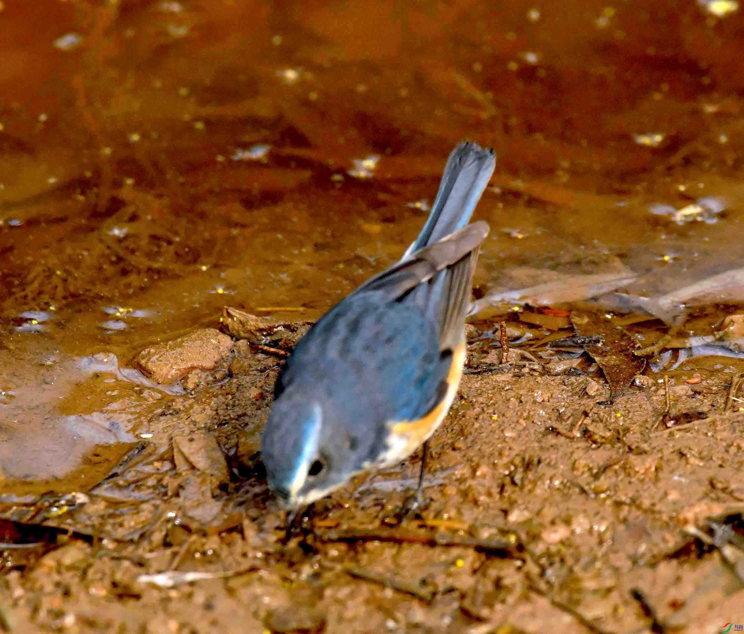 DSC_1646.JPG