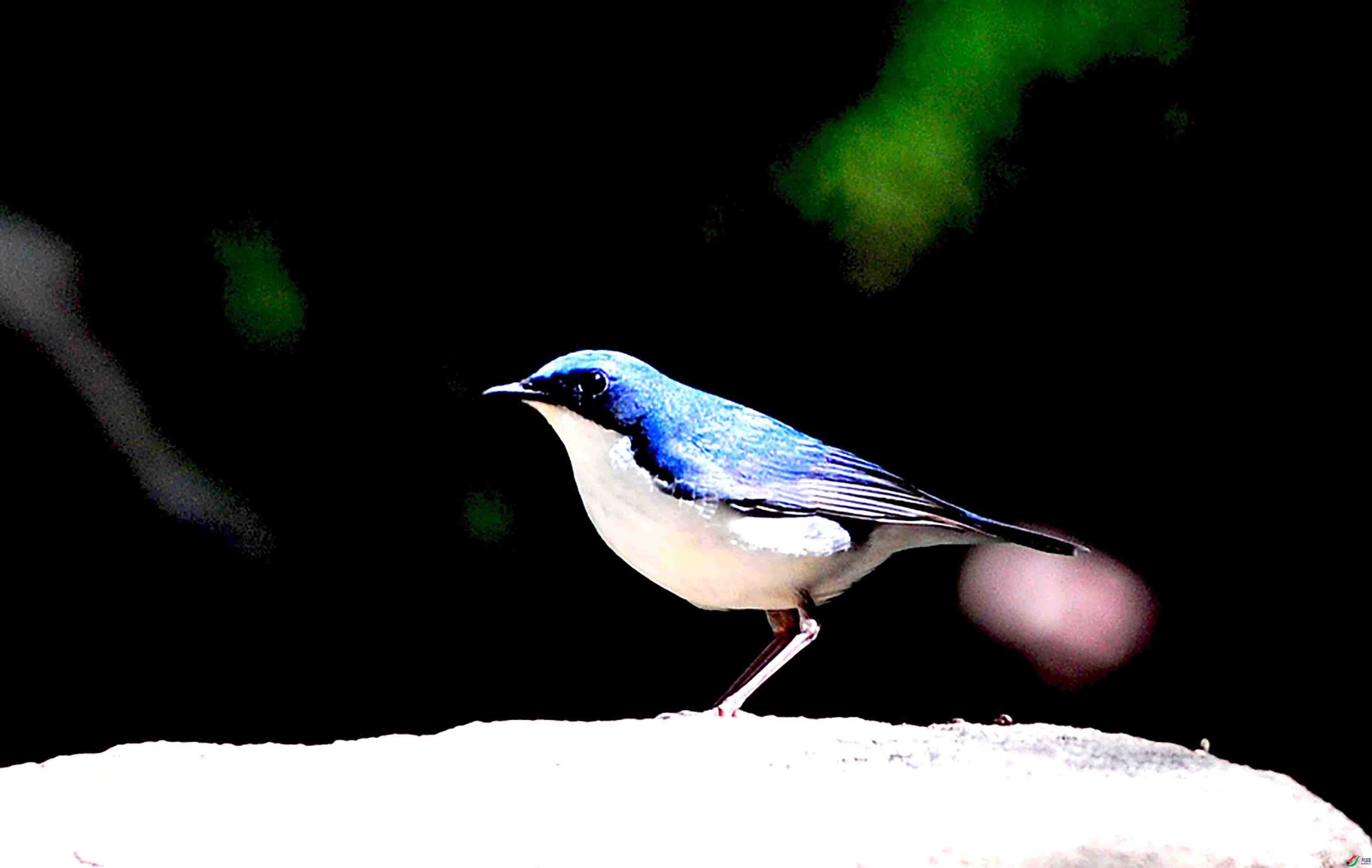 DSC_5648.JPG