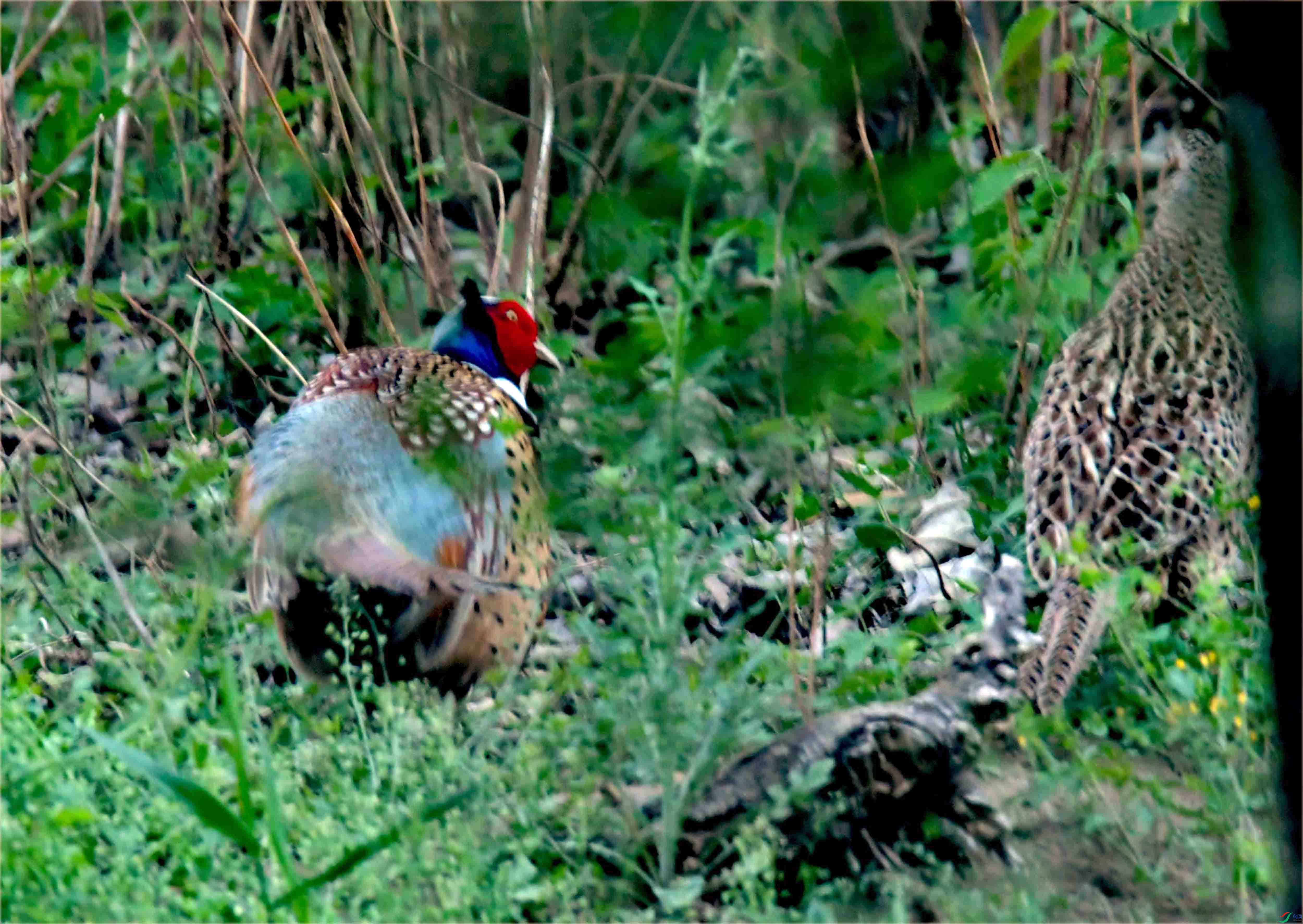 DSC_9469.JPG