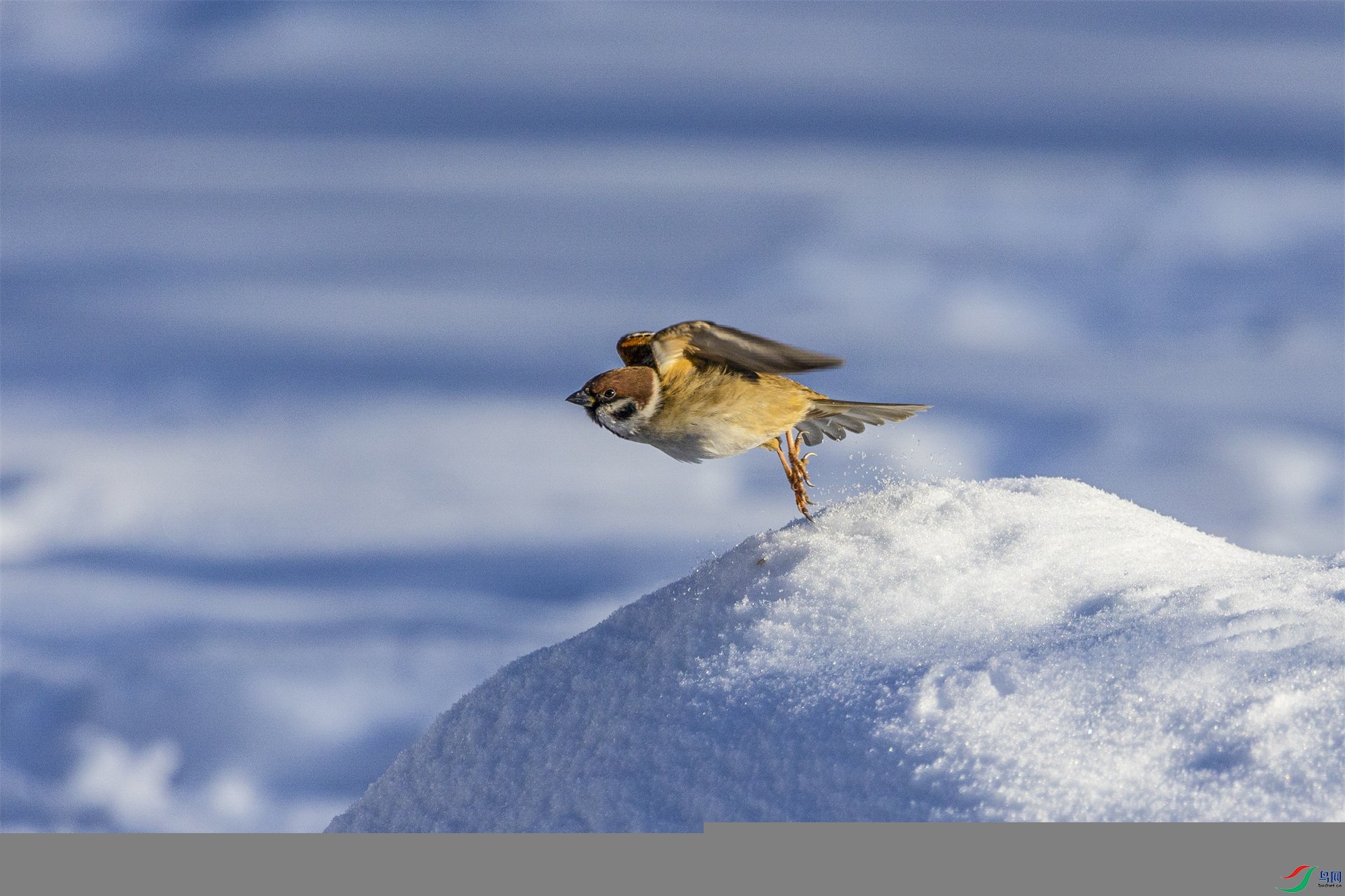 1K3A3481 ����1.jpg