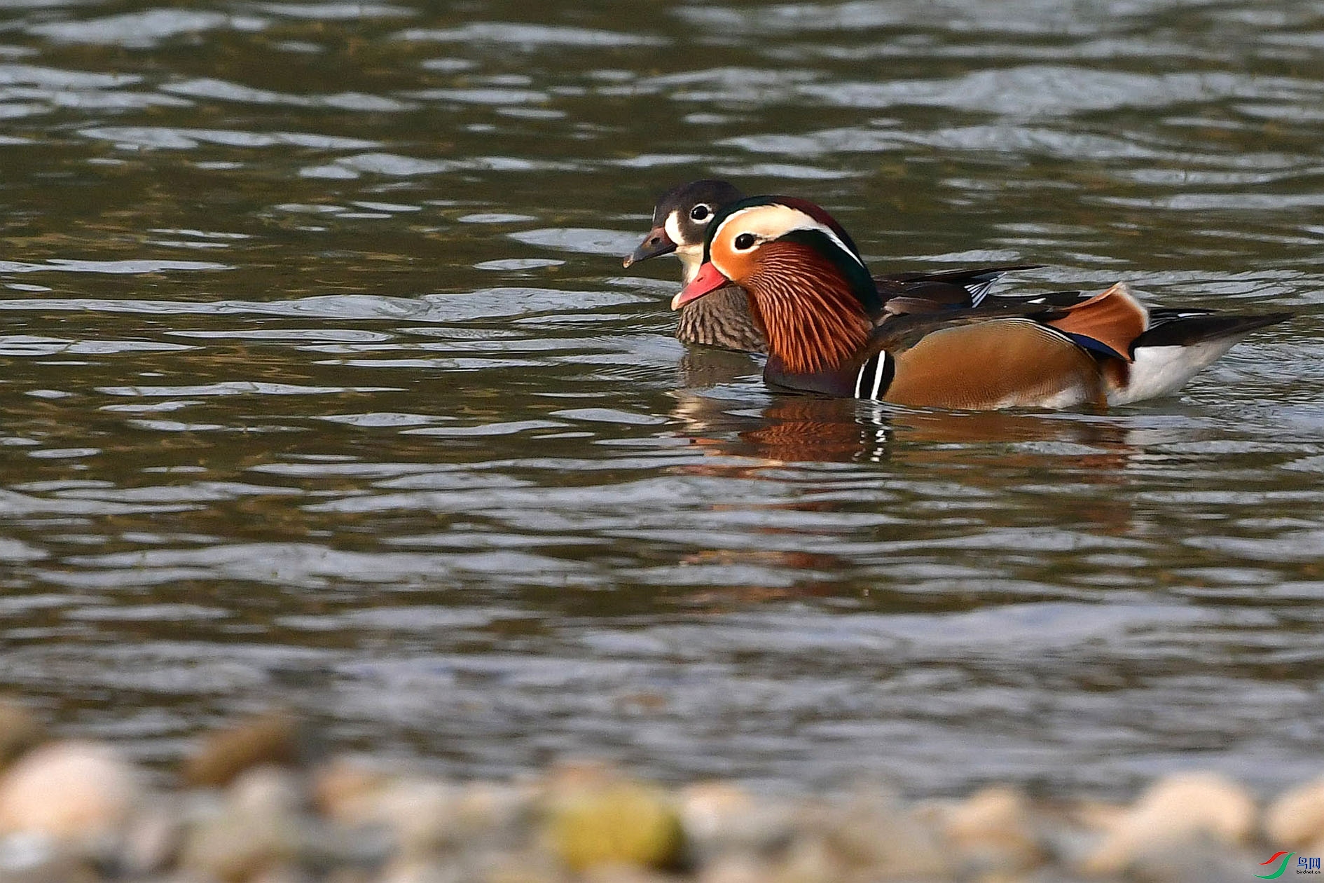 DSC_5169_����.jpg